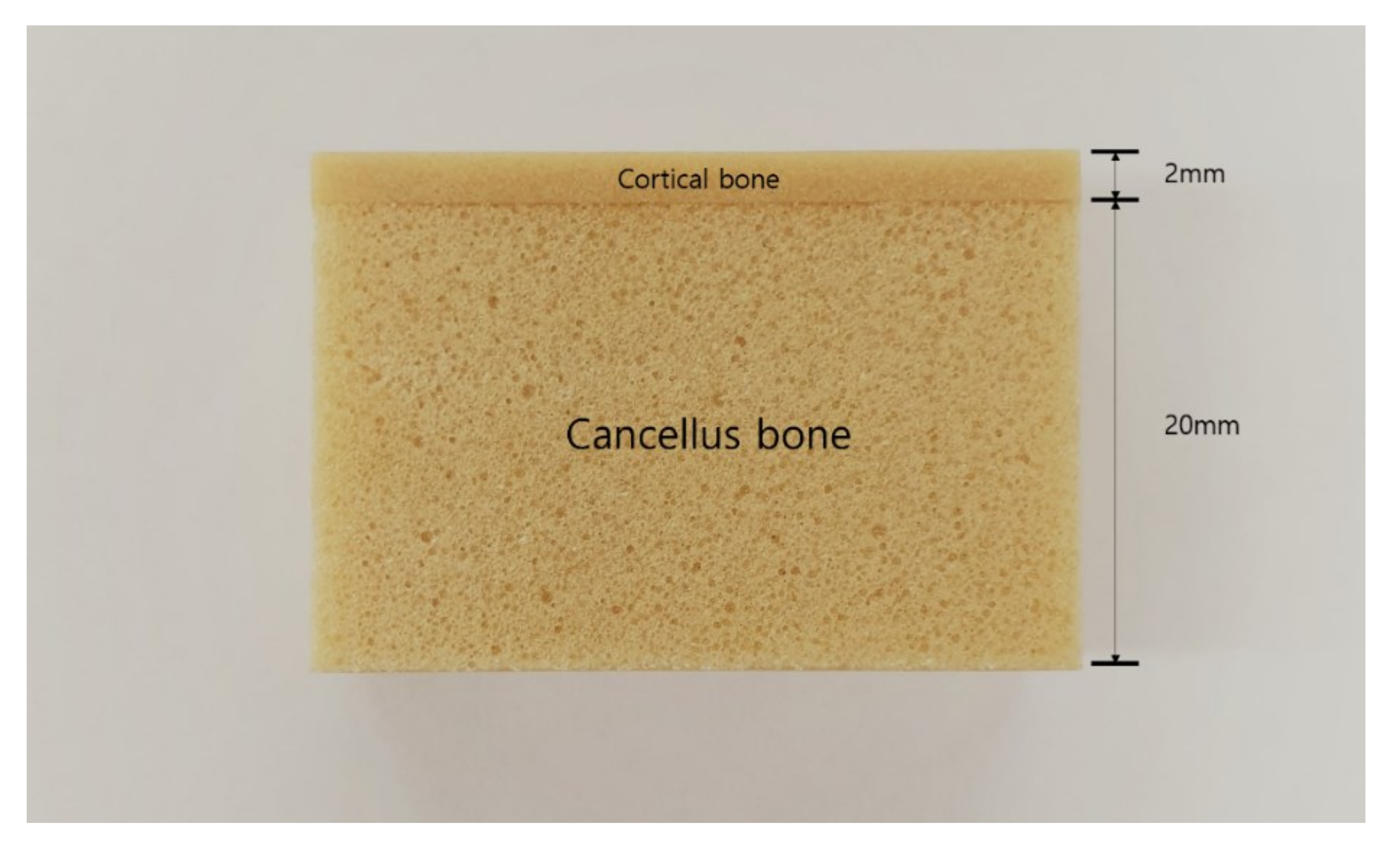 Materials 13 04433 g002 Materials 13 04433 g002