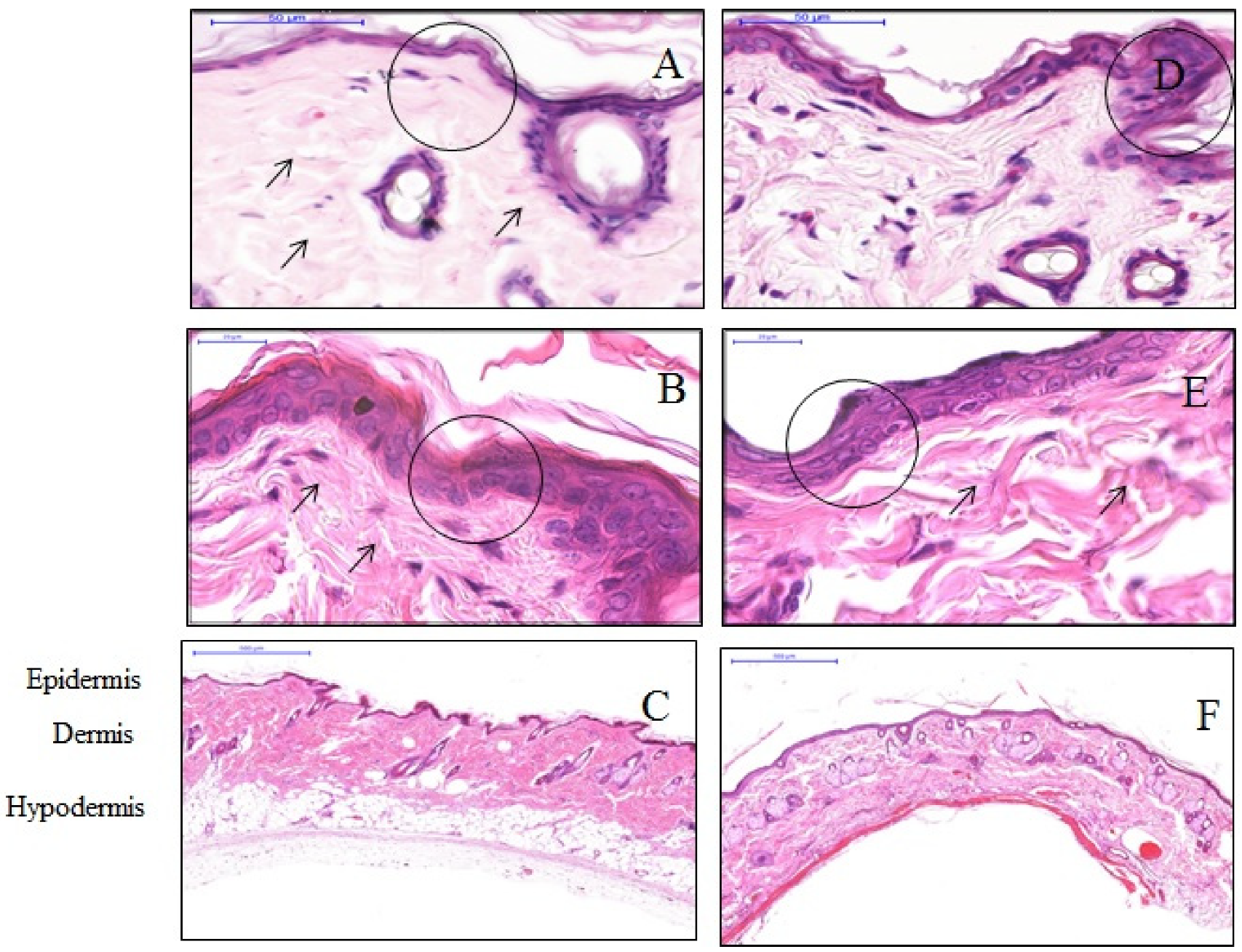 Materials 13 04436 g001