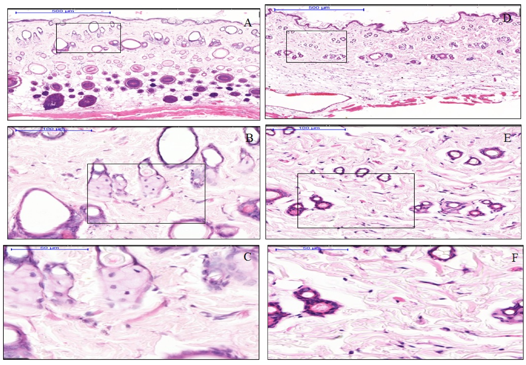 Materials 13 04436 g002