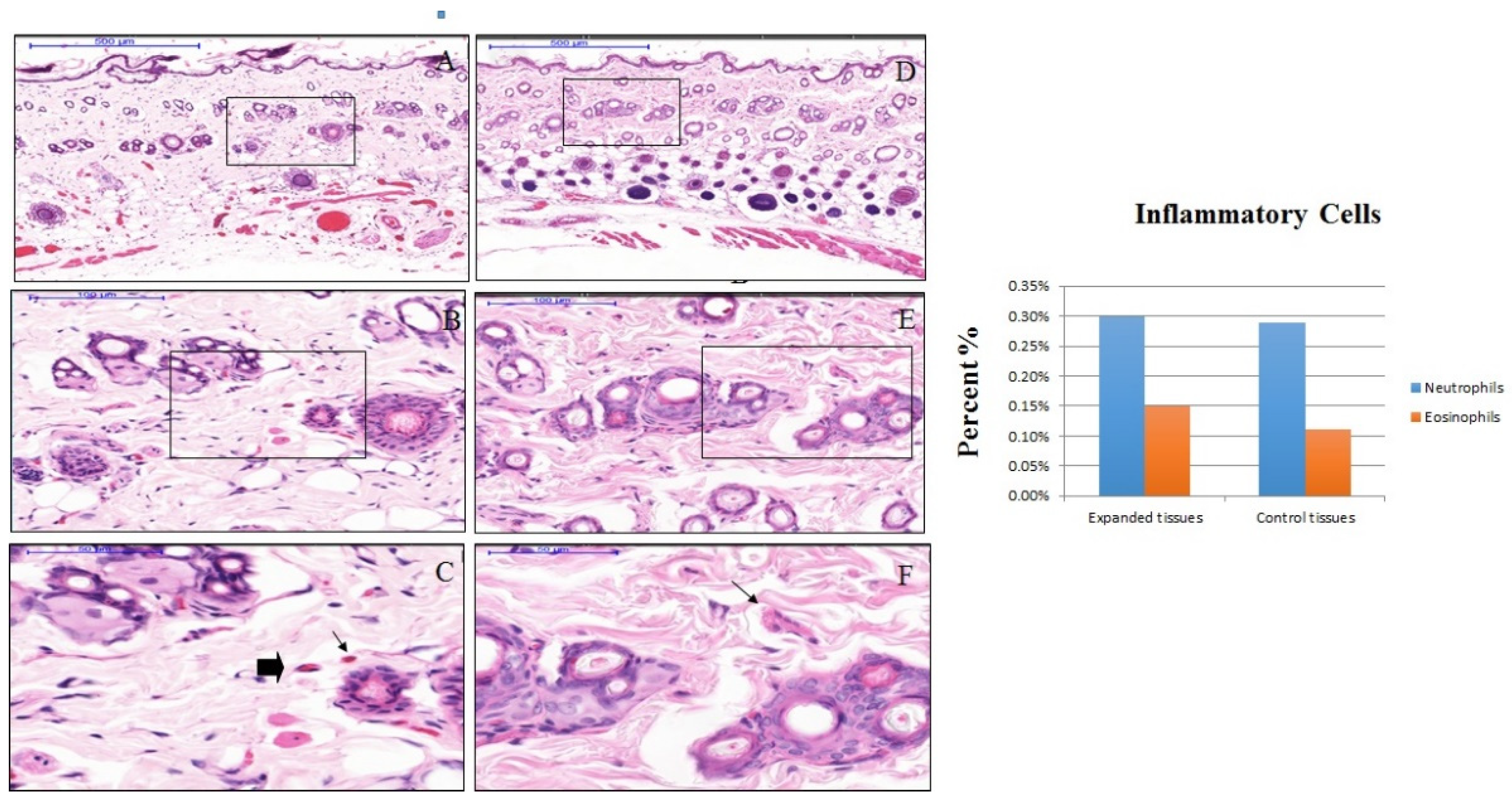 Materials 13 04436 g003