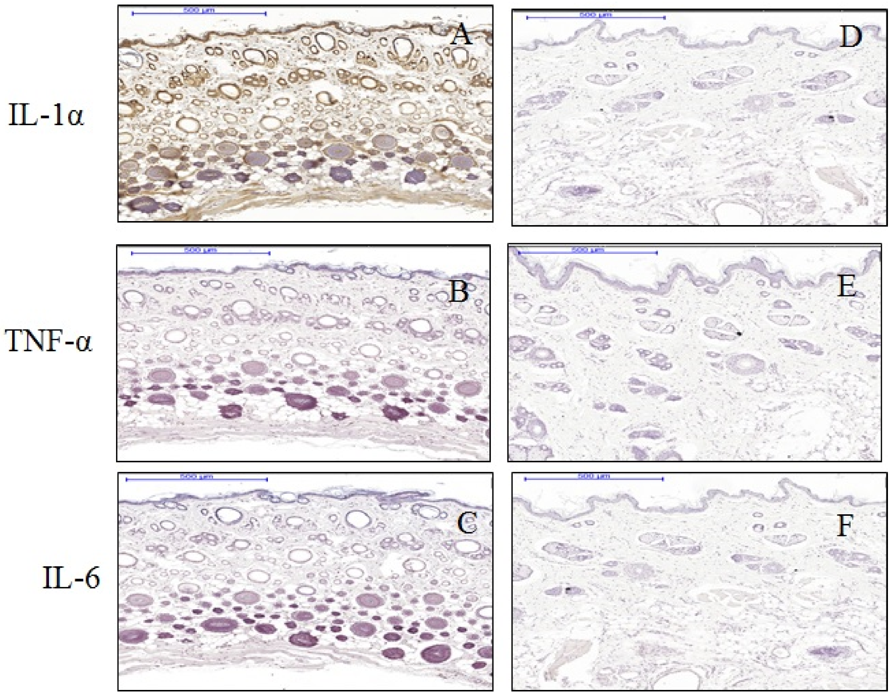 Materials 13 04436 g004