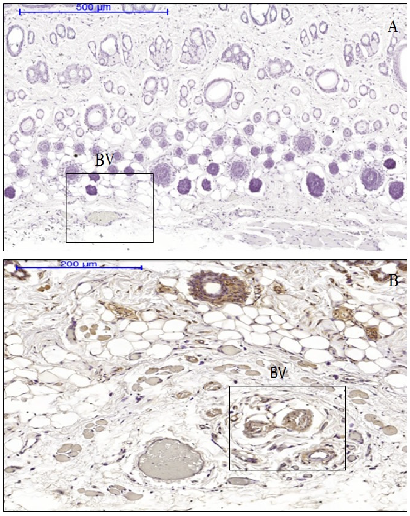 Materials 13 04436 g005