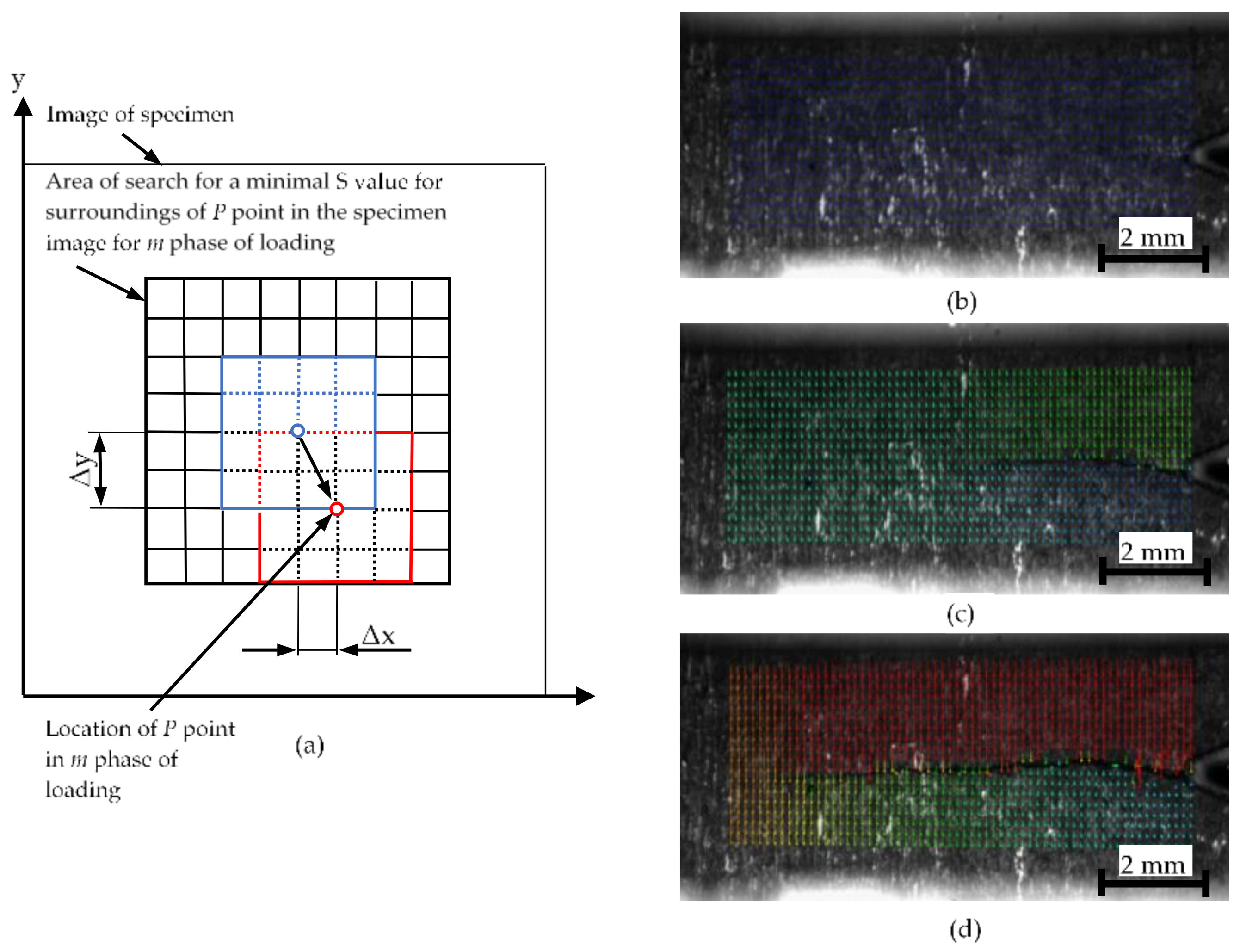 Materials 13 04439 g004 Materials 13 04439 g004