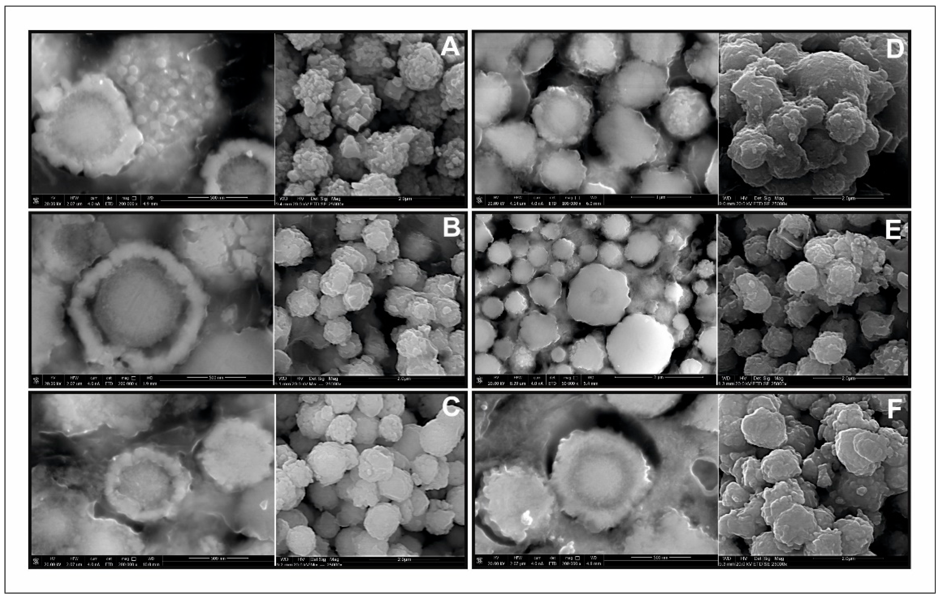 Materials 13 04440 g012