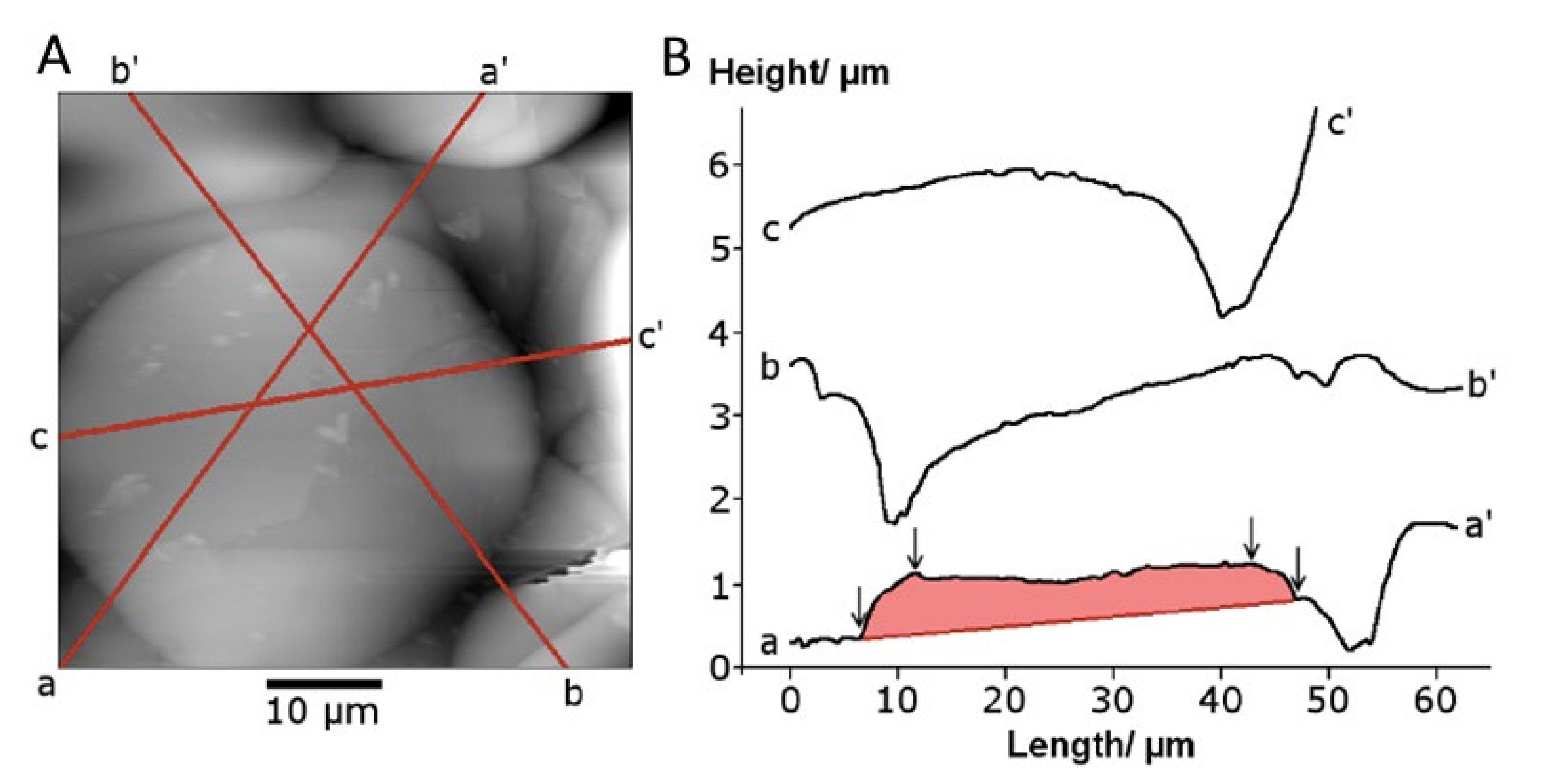 Materials 13 04447 g007