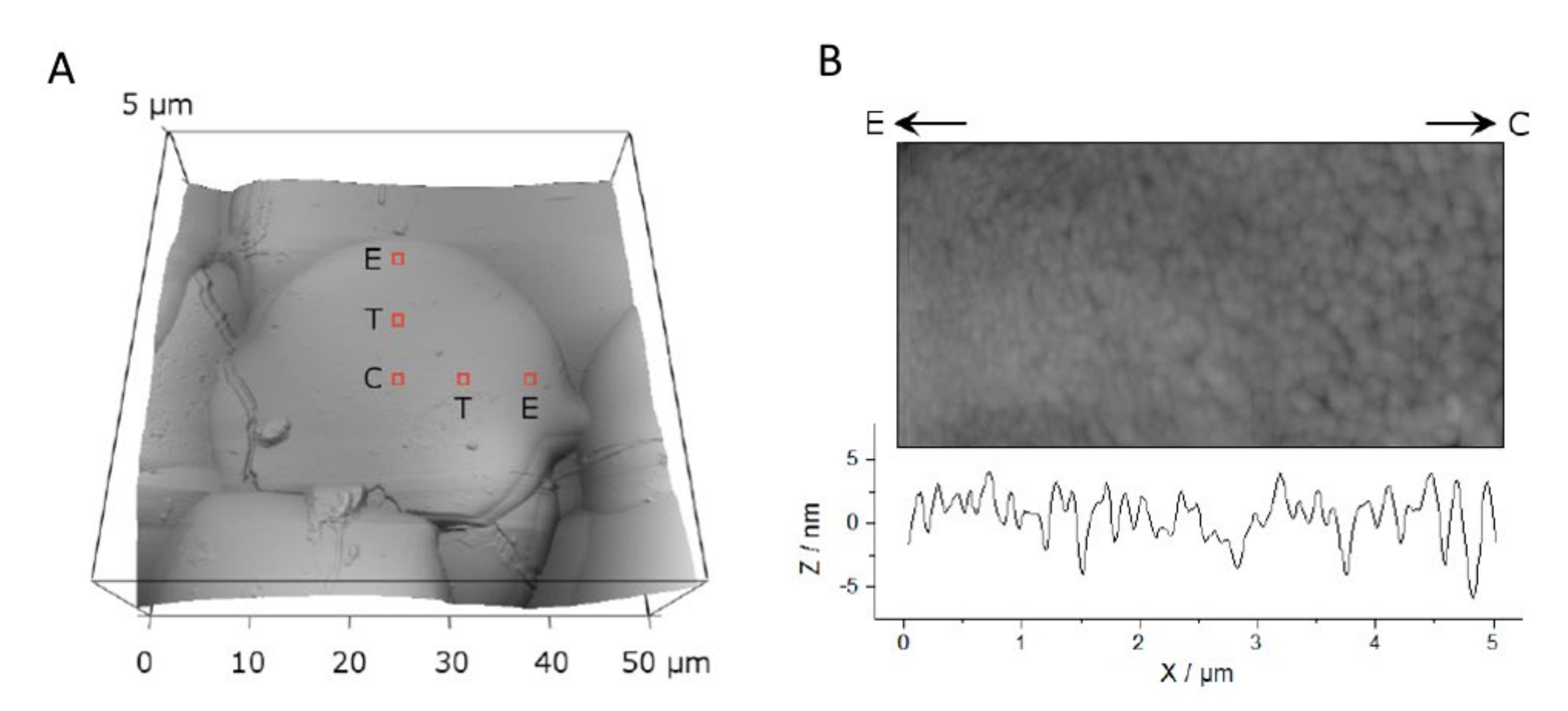 Materials 13 04447 g008
