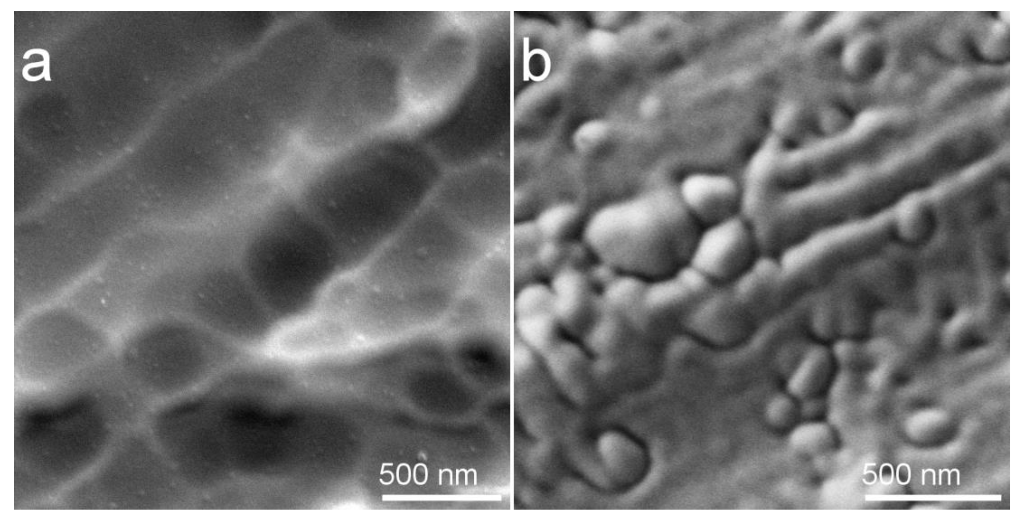 Materials 13 04449 g003 Materials 13 04449 g003