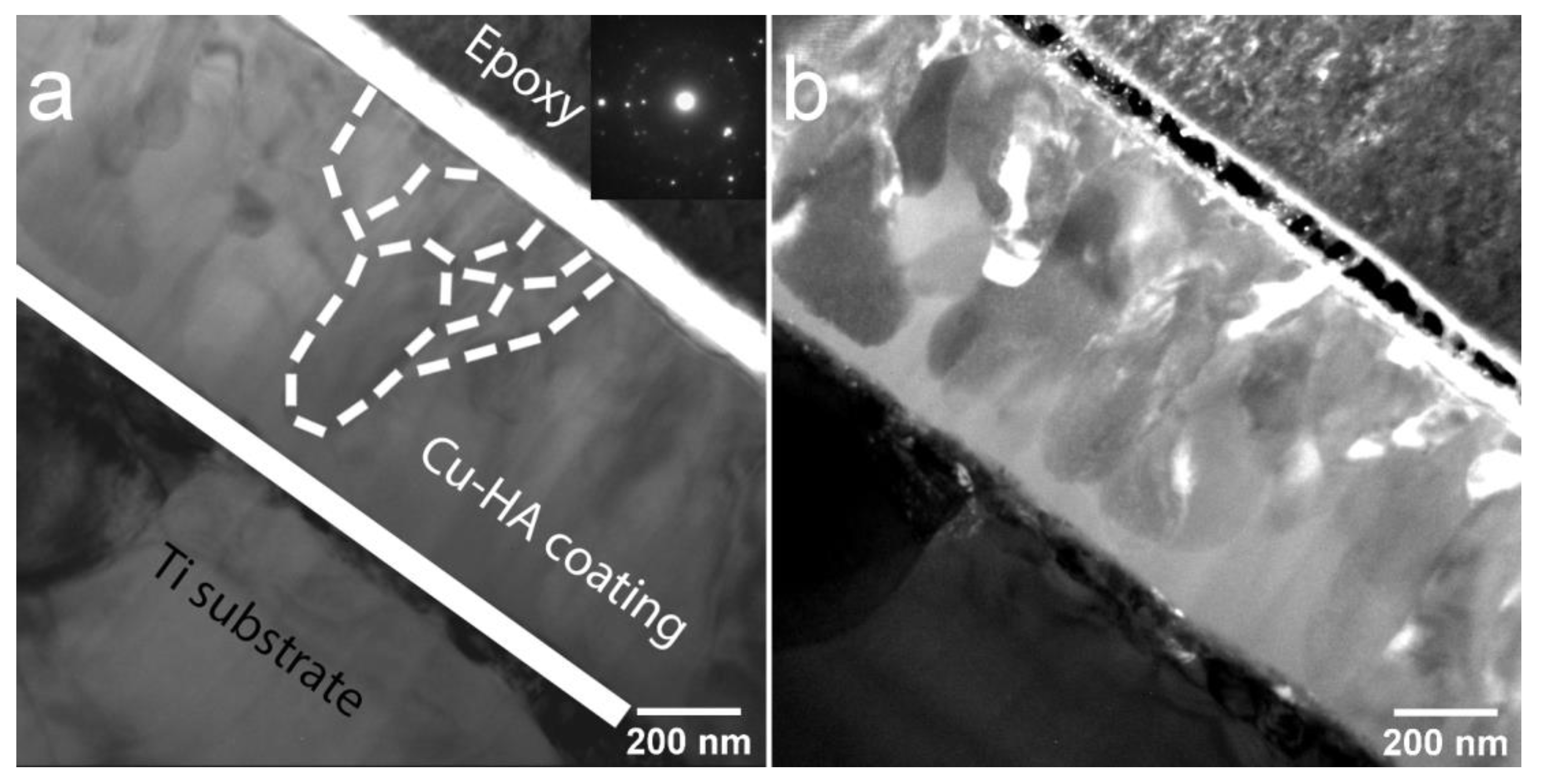 Materials 13 04449 g005 Materials 13 04449 g005