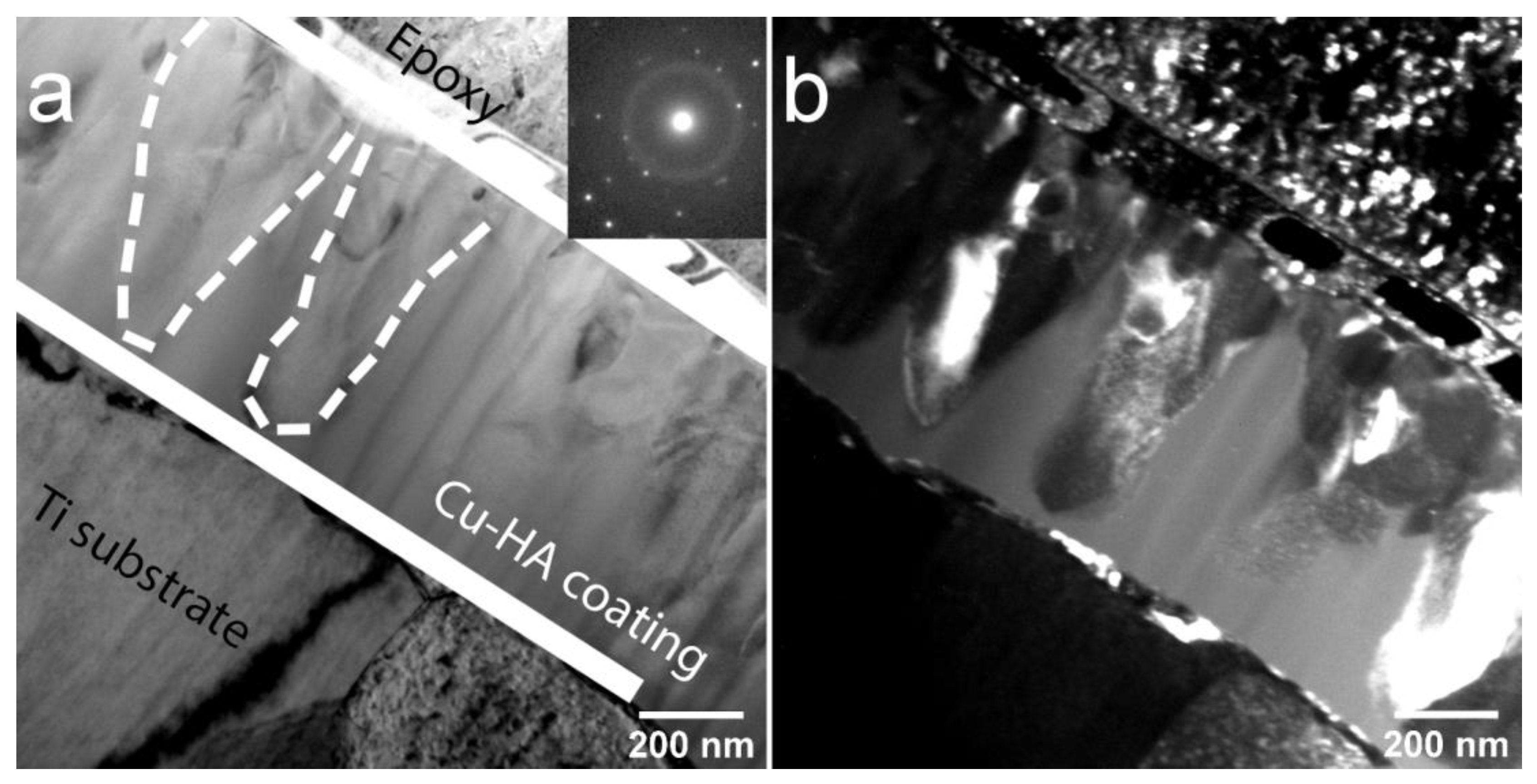 Materials 13 04449 g006 Materials 13 04449 g006