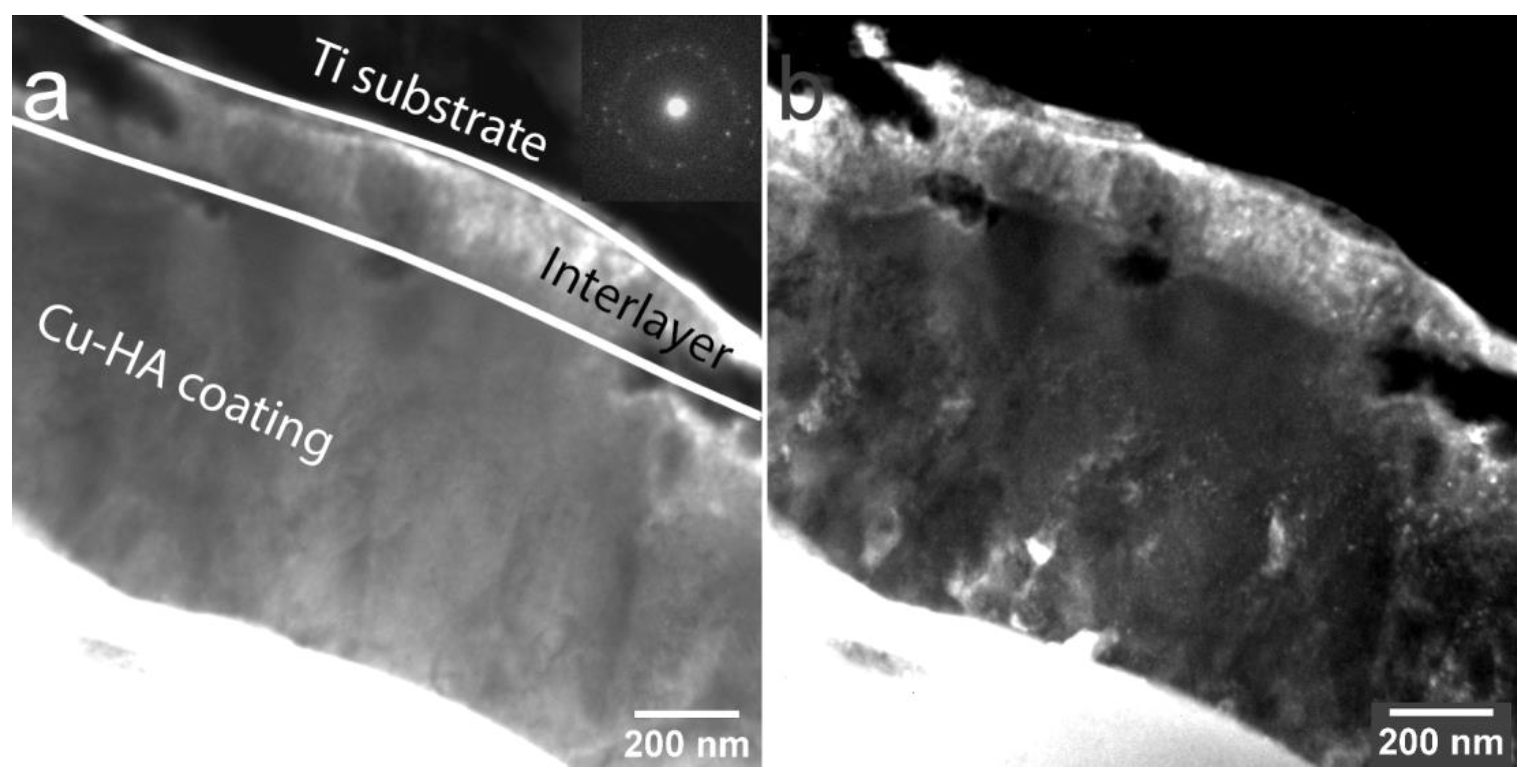 Materials 13 04449 g007 Materials 13 04449 g007