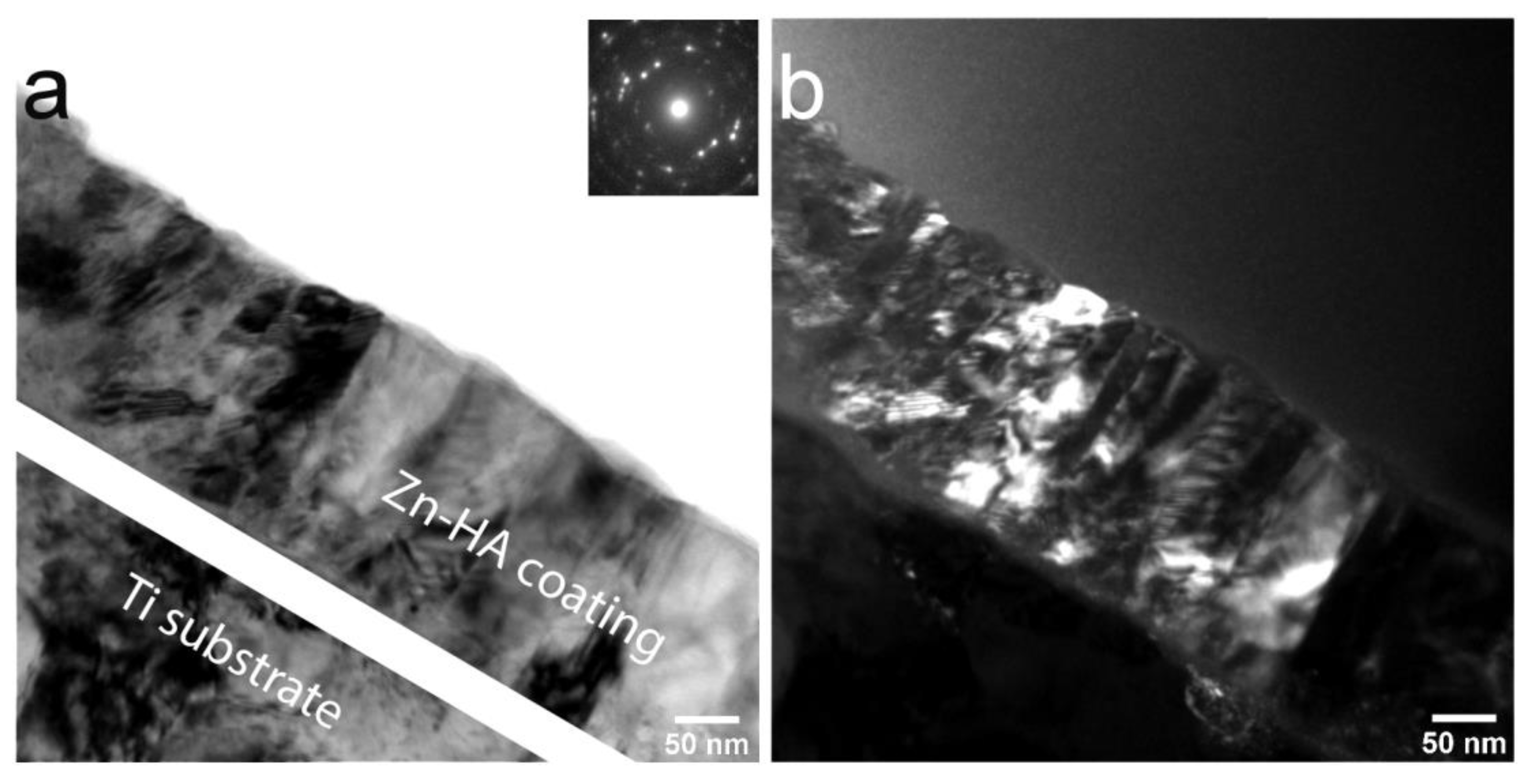 Materials 13 04449 g013 Materials 13 04449 g013