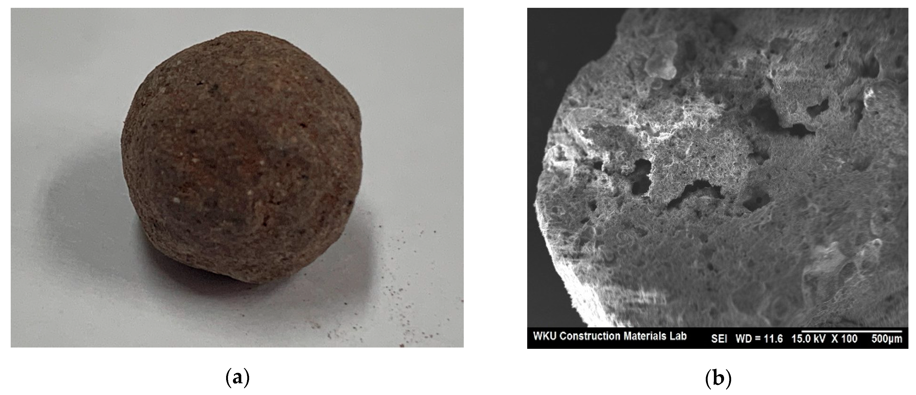 Materials 13 04451 g001