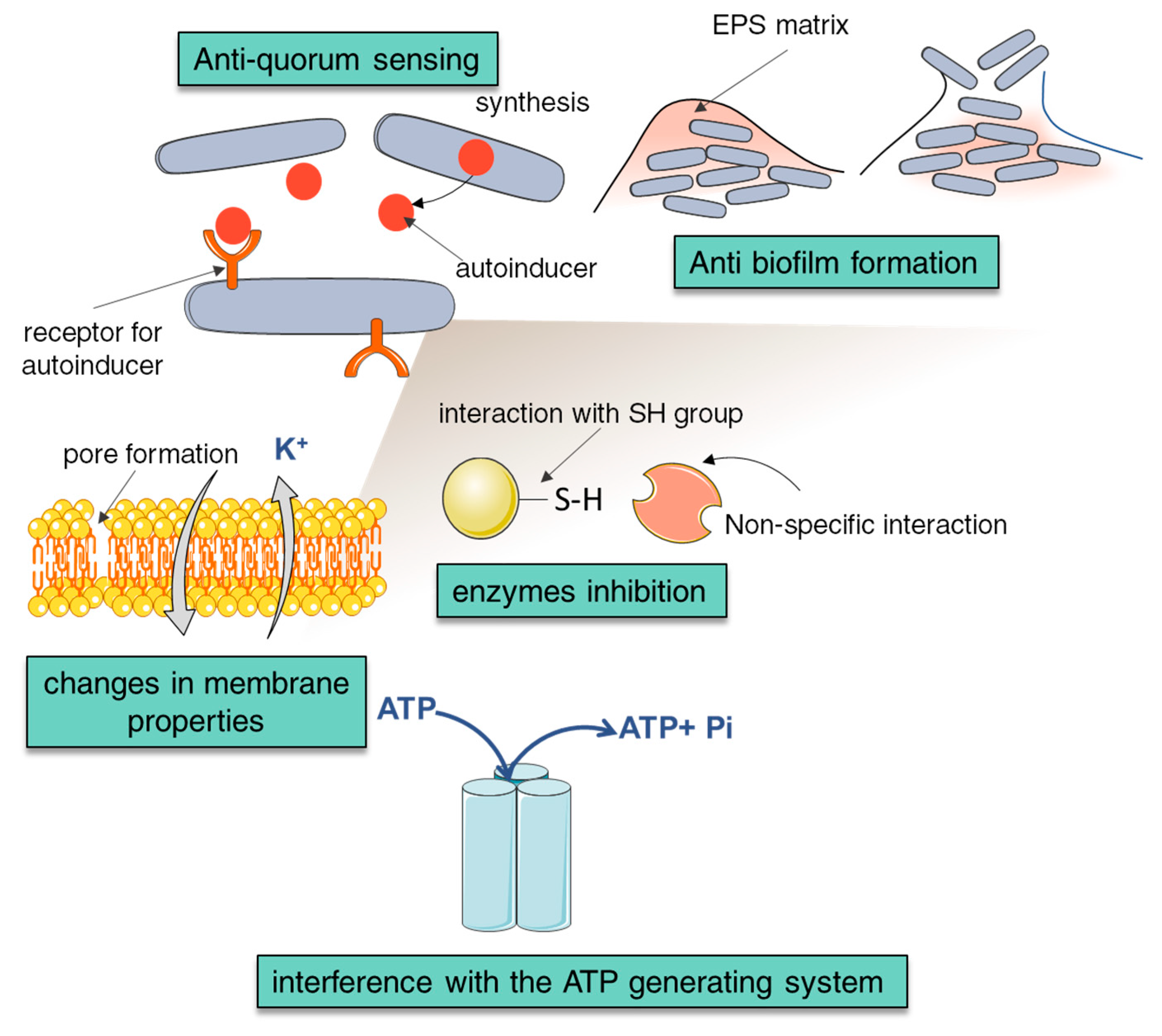 Materials 13 04454 g002