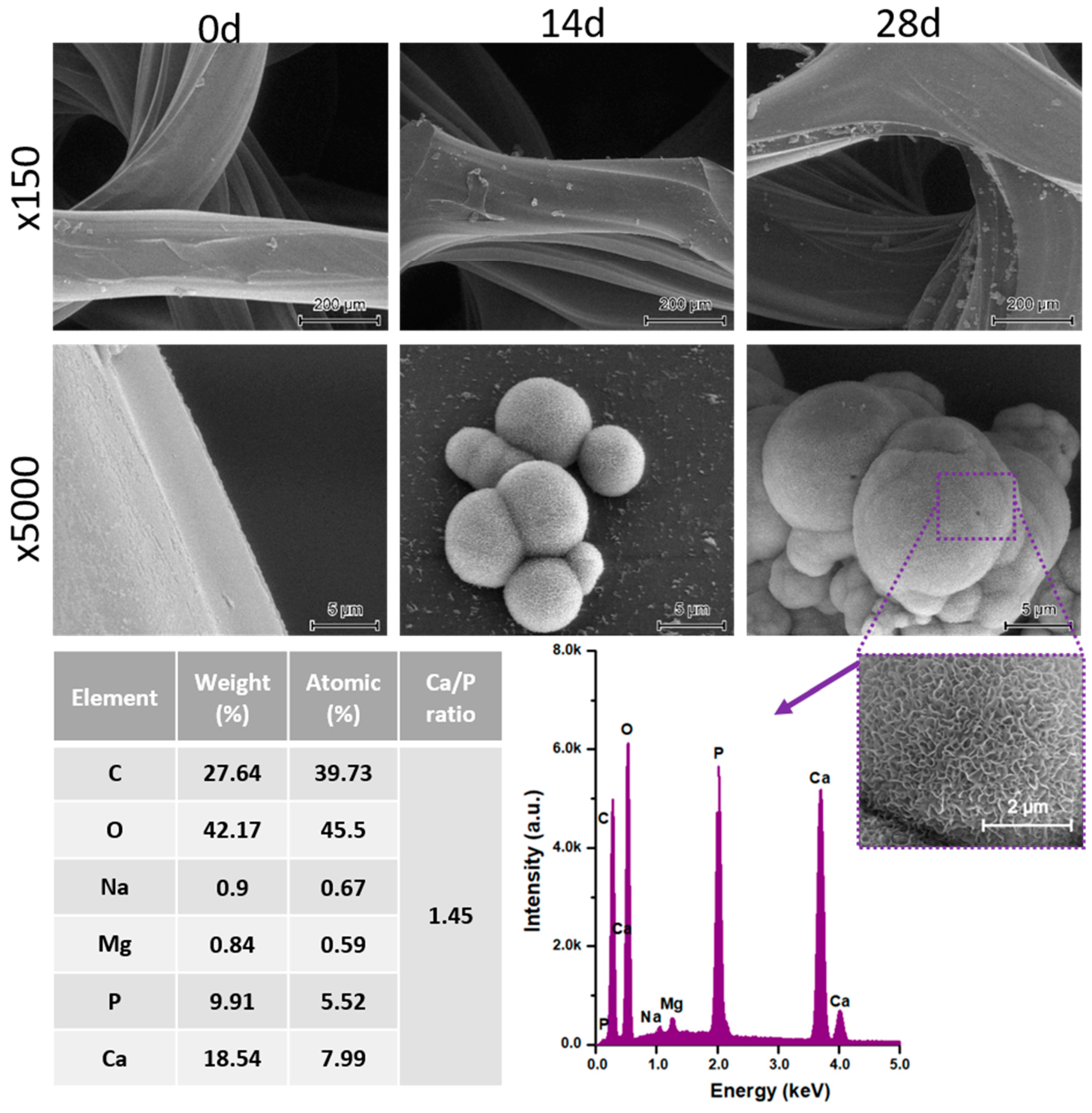Materials 13 04457 g009