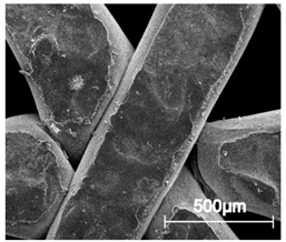 Materials 13 04457 i013 Materials 13 04457 i013