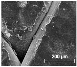 Materials 13 04457 i016 Materials 13 04457 i016