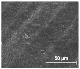 Materials 13 04457 i021 Materials 13 04457 i021