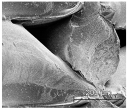 Materials 13 04457 i025 Materials 13 04457 i025