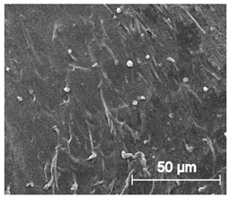 Materials 13 04457 i029 Materials 13 04457 i029