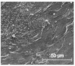 Materials 13 04457 i030 Materials 13 04457 i030