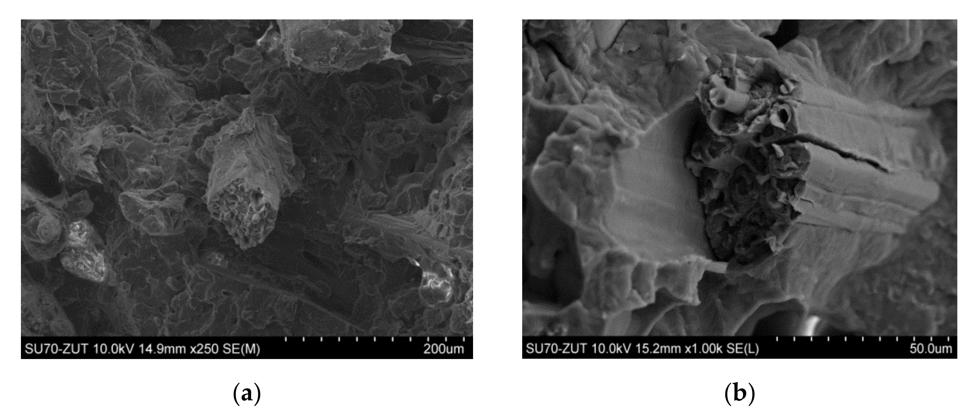 Materials 13 04459 g001