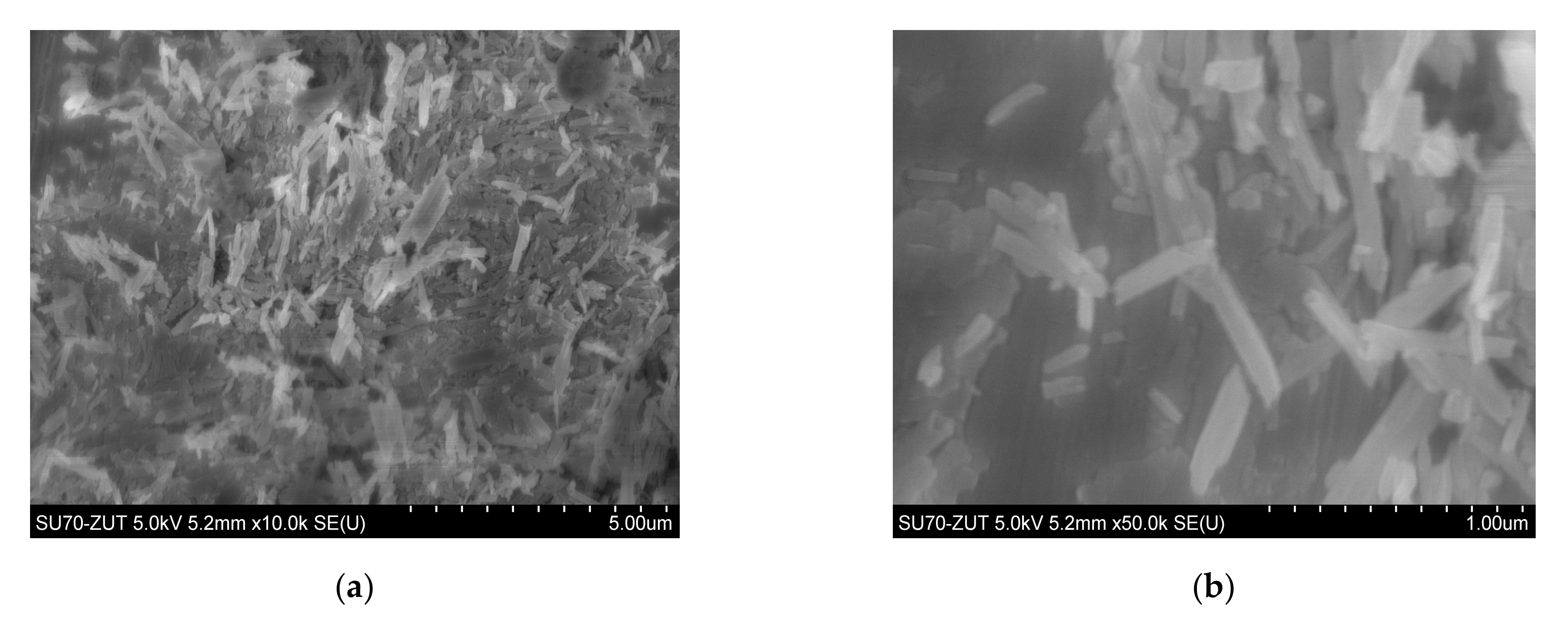 Materials 13 04459 g002