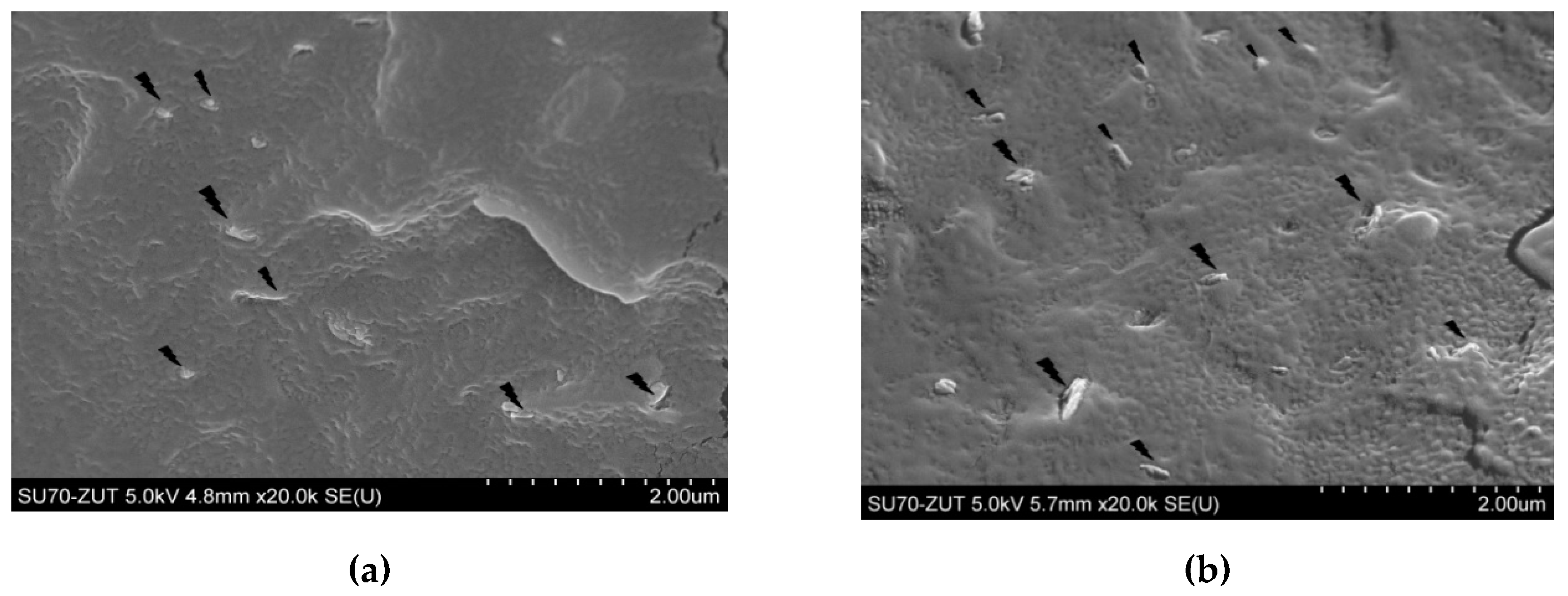 Materials 13 04459 g003a