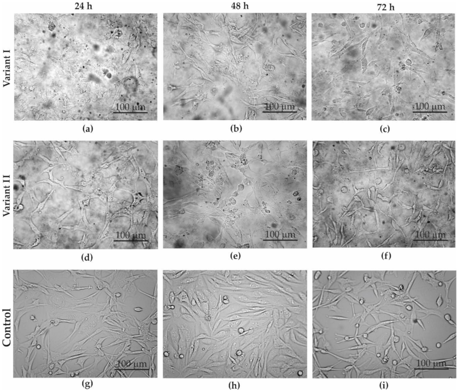 Materials 13 04464 g005