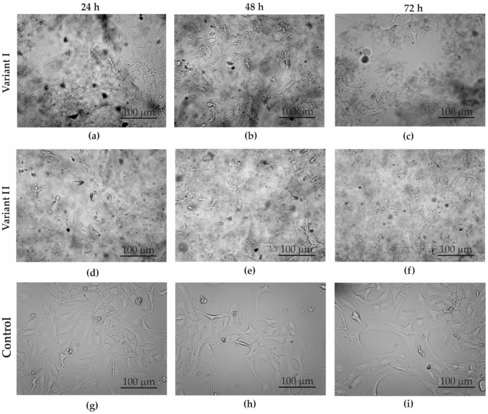 Materials 13 04464 g006