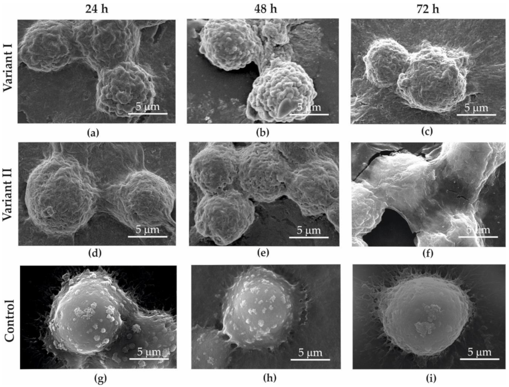 Materials 13 04464 g007