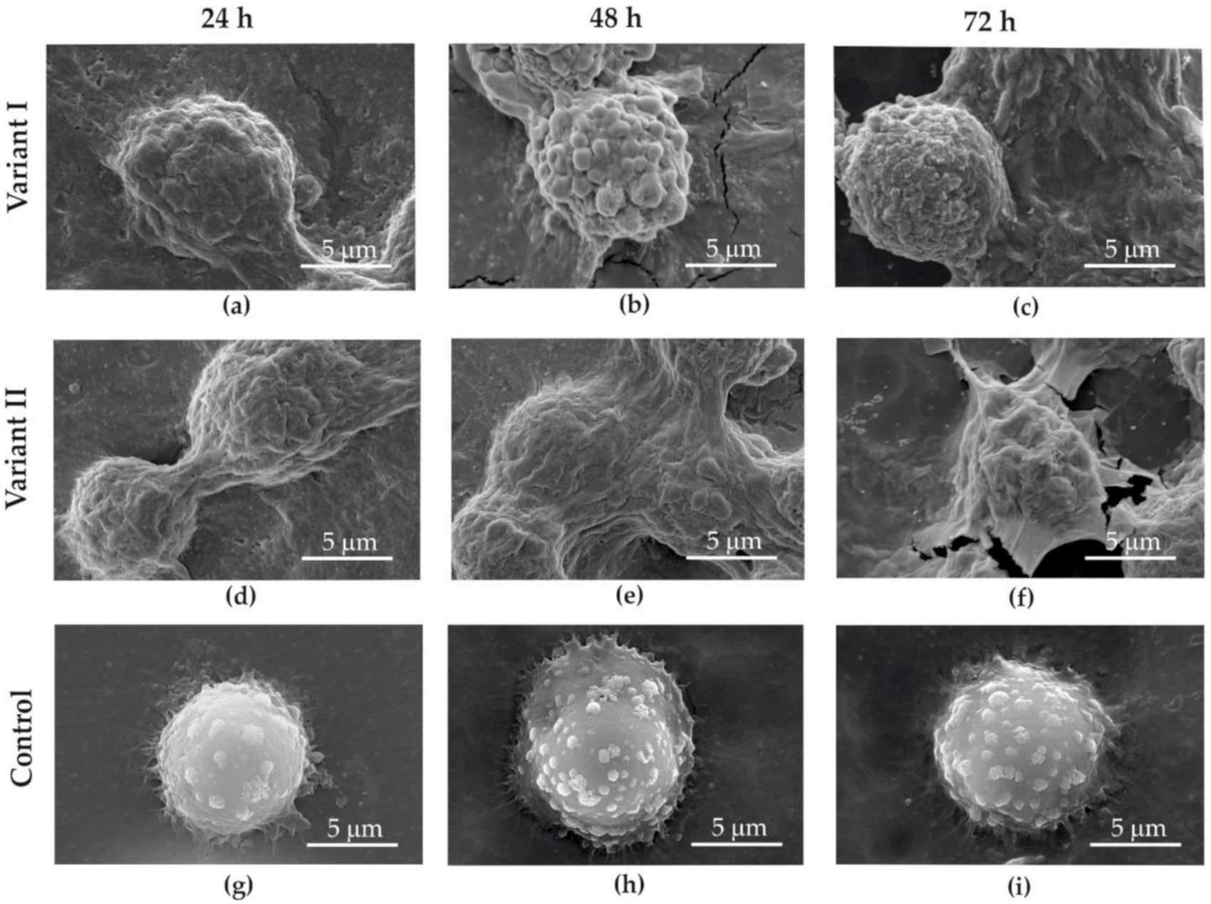 Materials 13 04464 g008