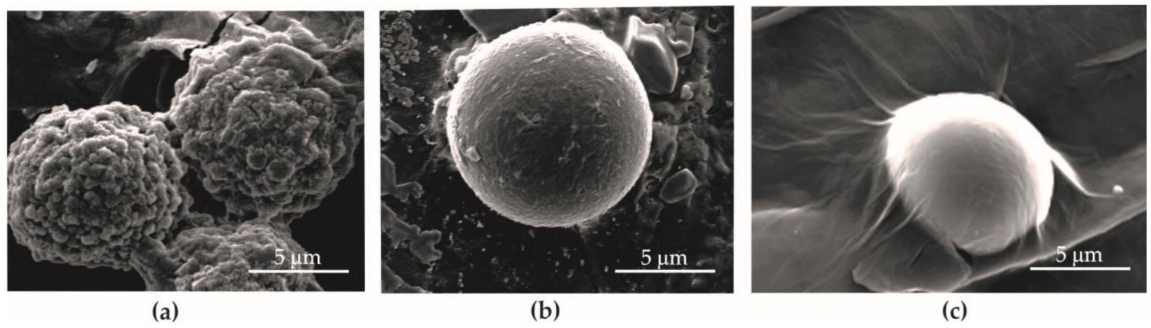 Materials 13 04464 g009