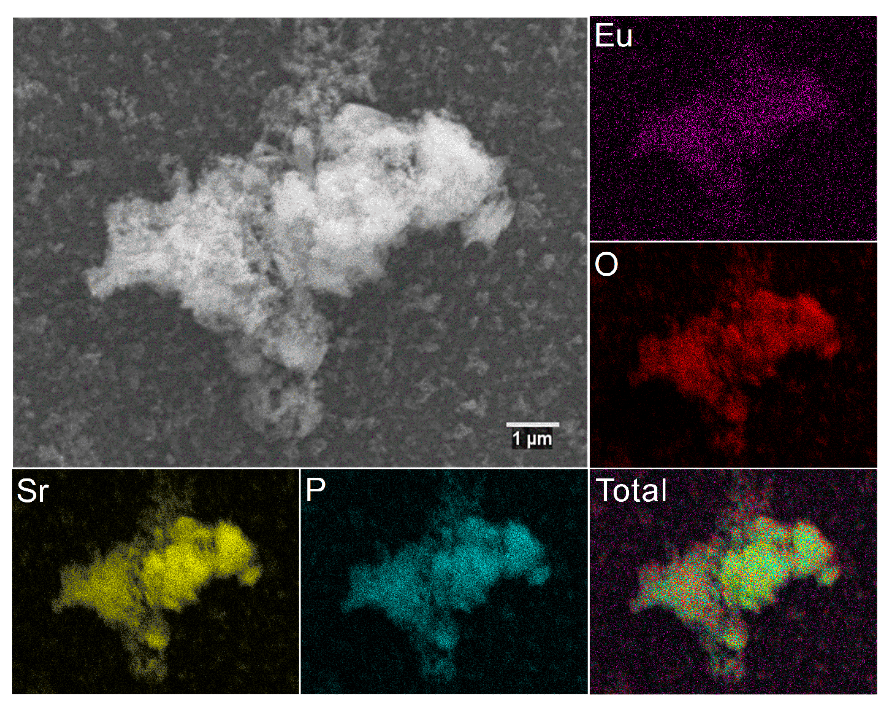 Materials 13 04468 g004