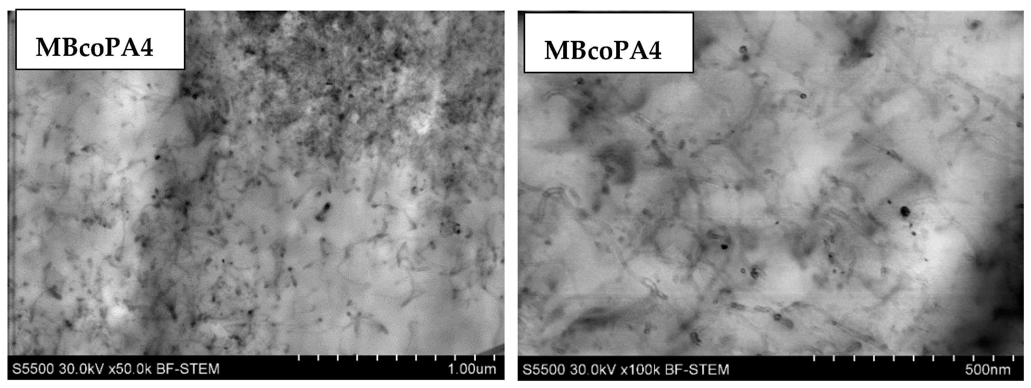 Materials 13 04469 g002b Materials 13 04469 g002b