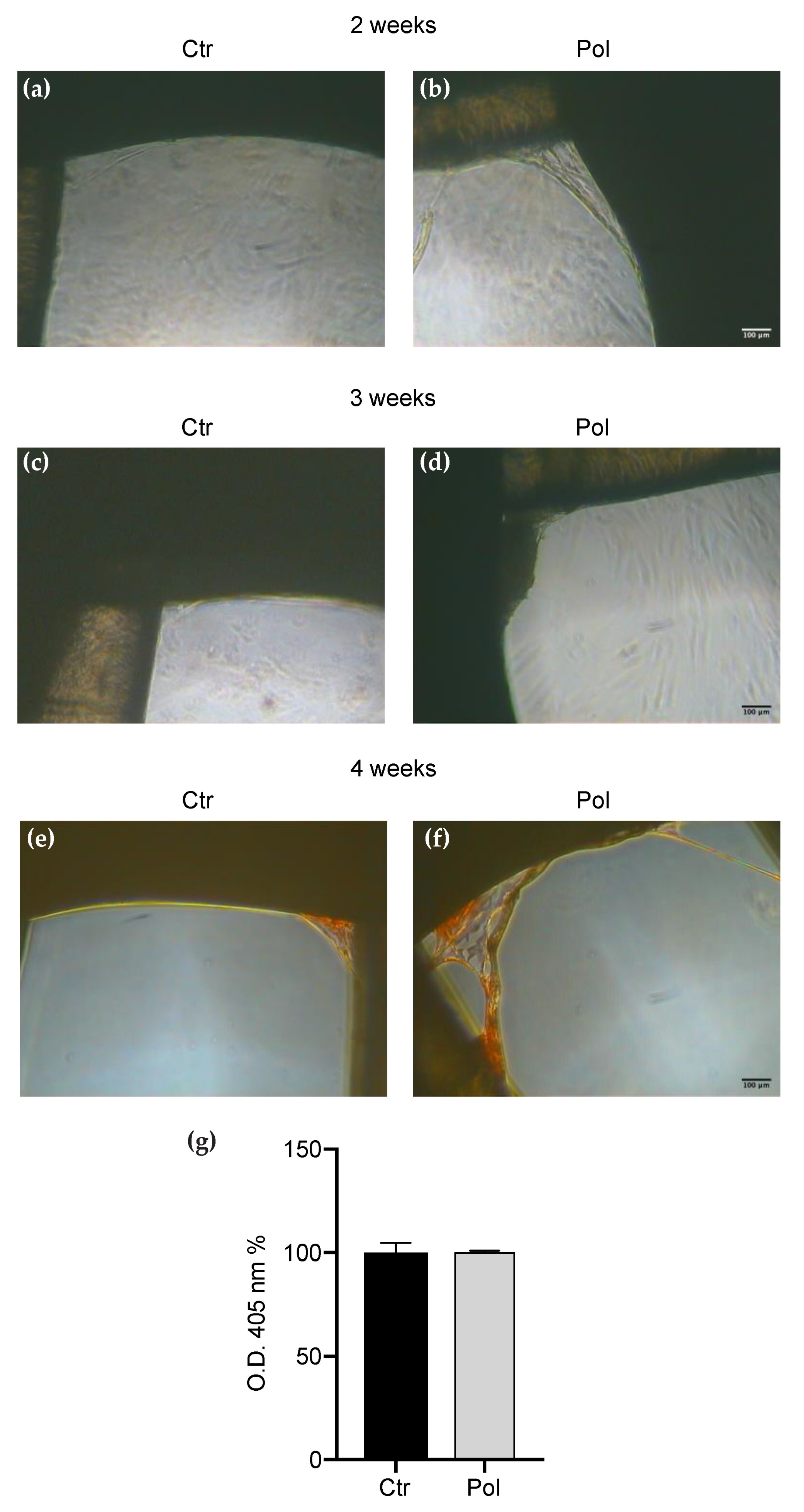 Materials 13 04471 g005