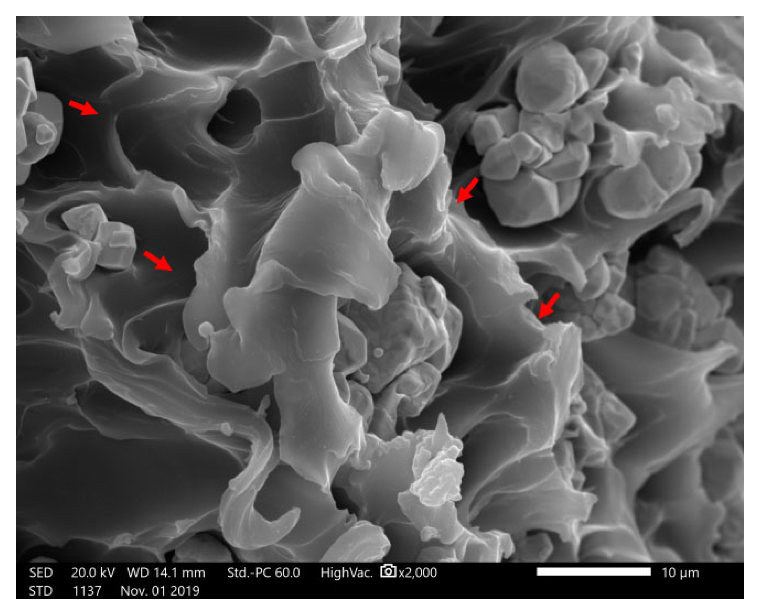 Materials 13 04475 g015