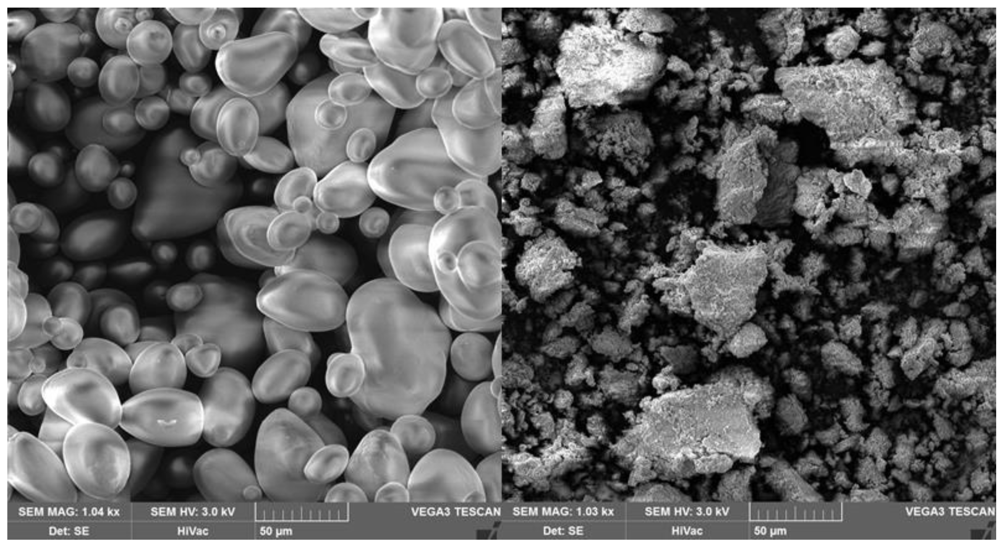 Materials 13 04479 g004