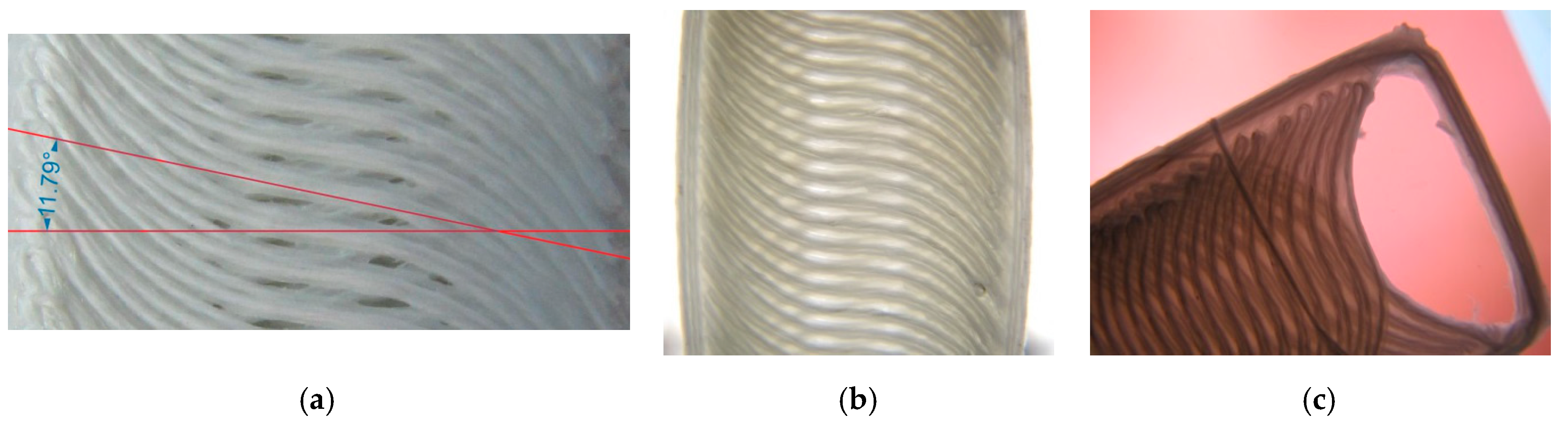 Materials 13 04480 g010