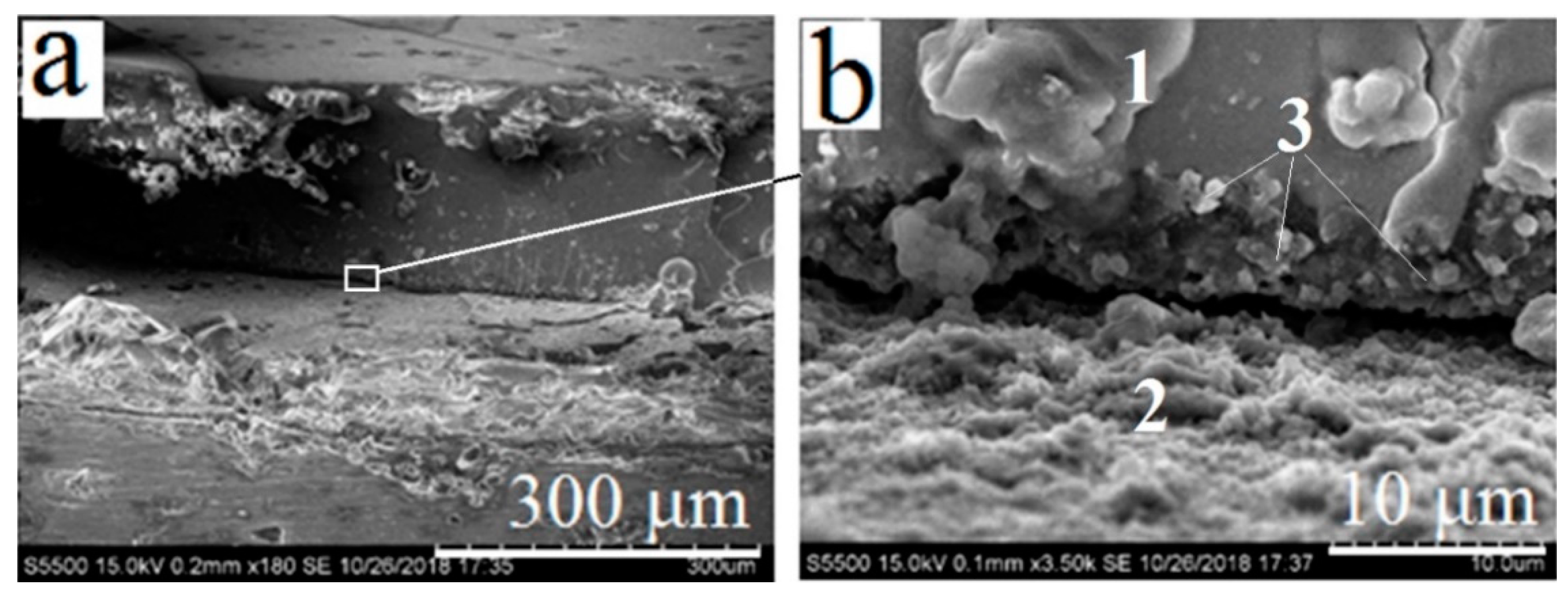 Materials 13 04493 g006