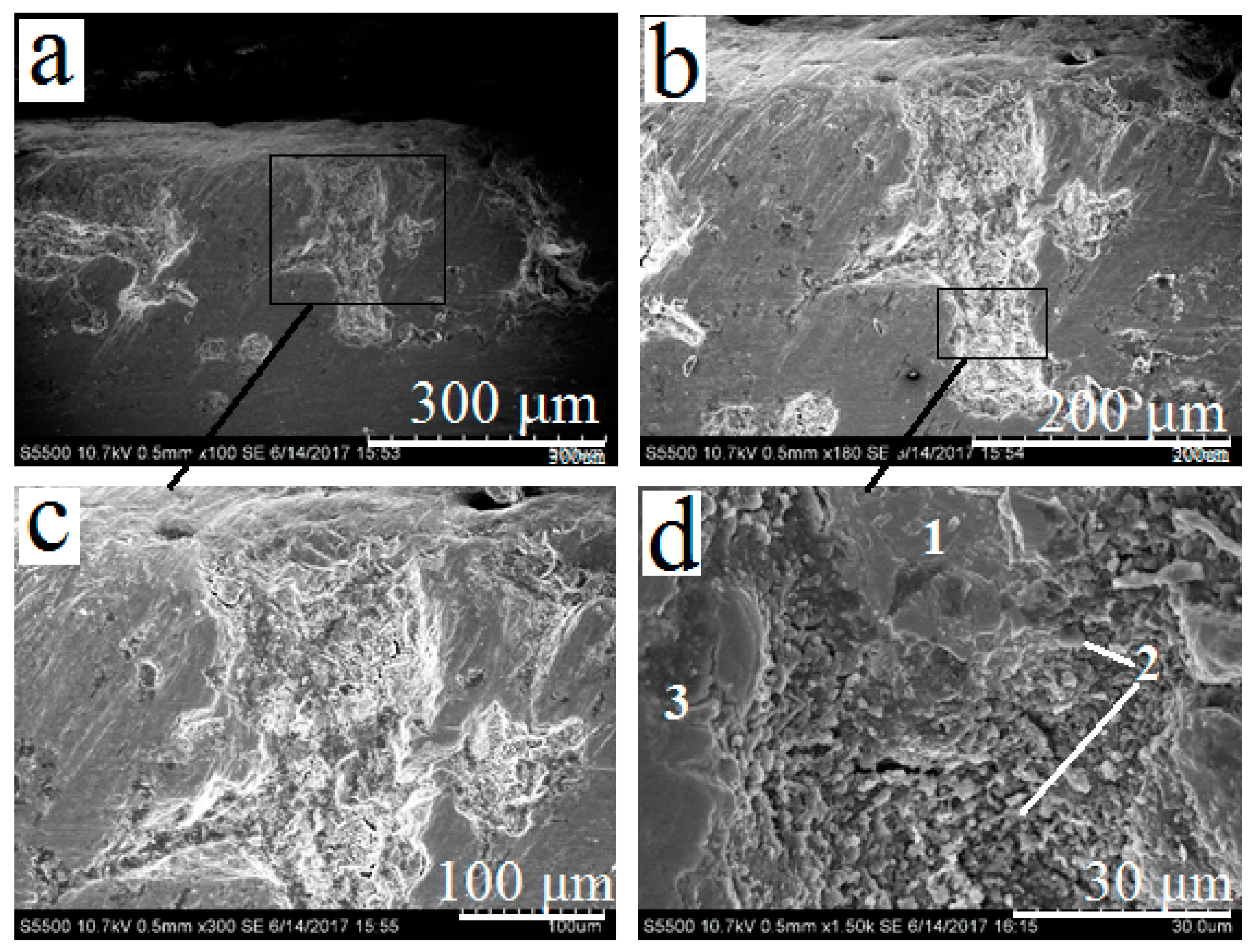 Materials 13 04493 g007