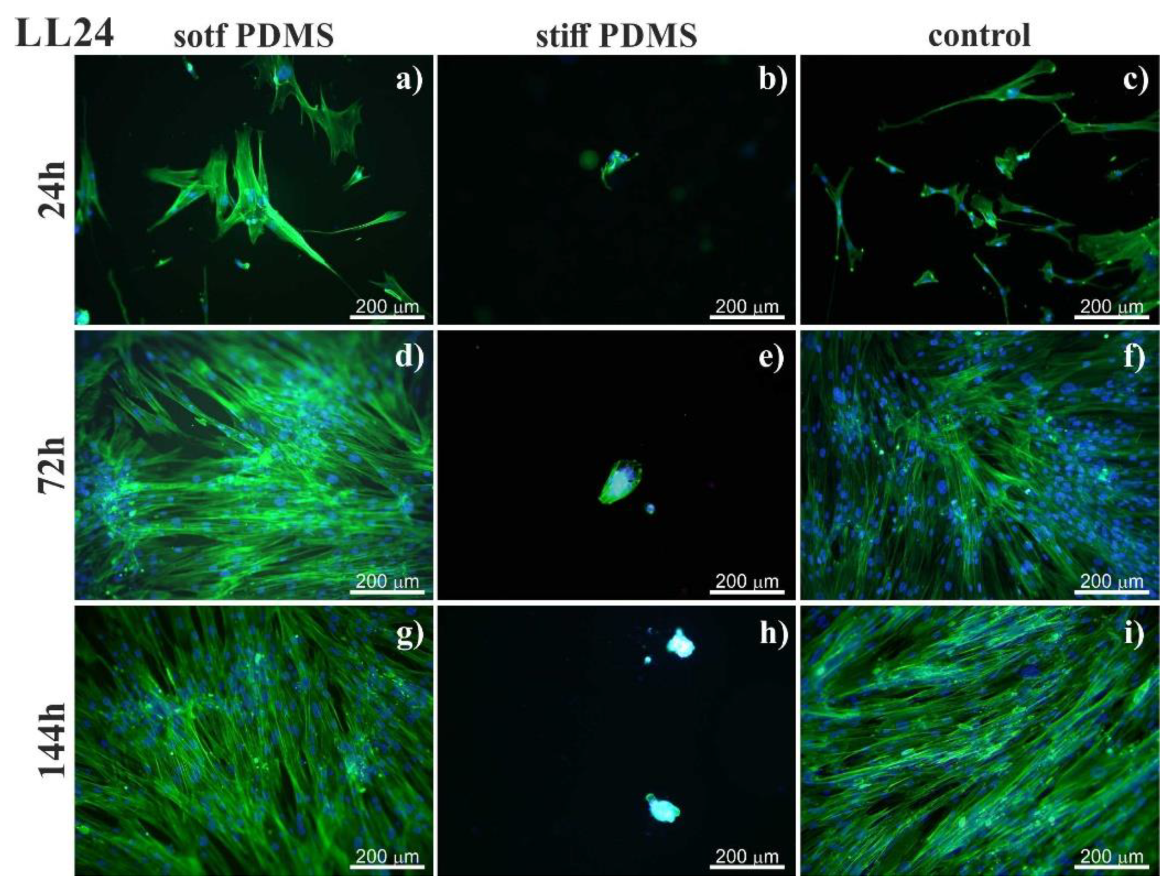 Materials 13 04495 g001