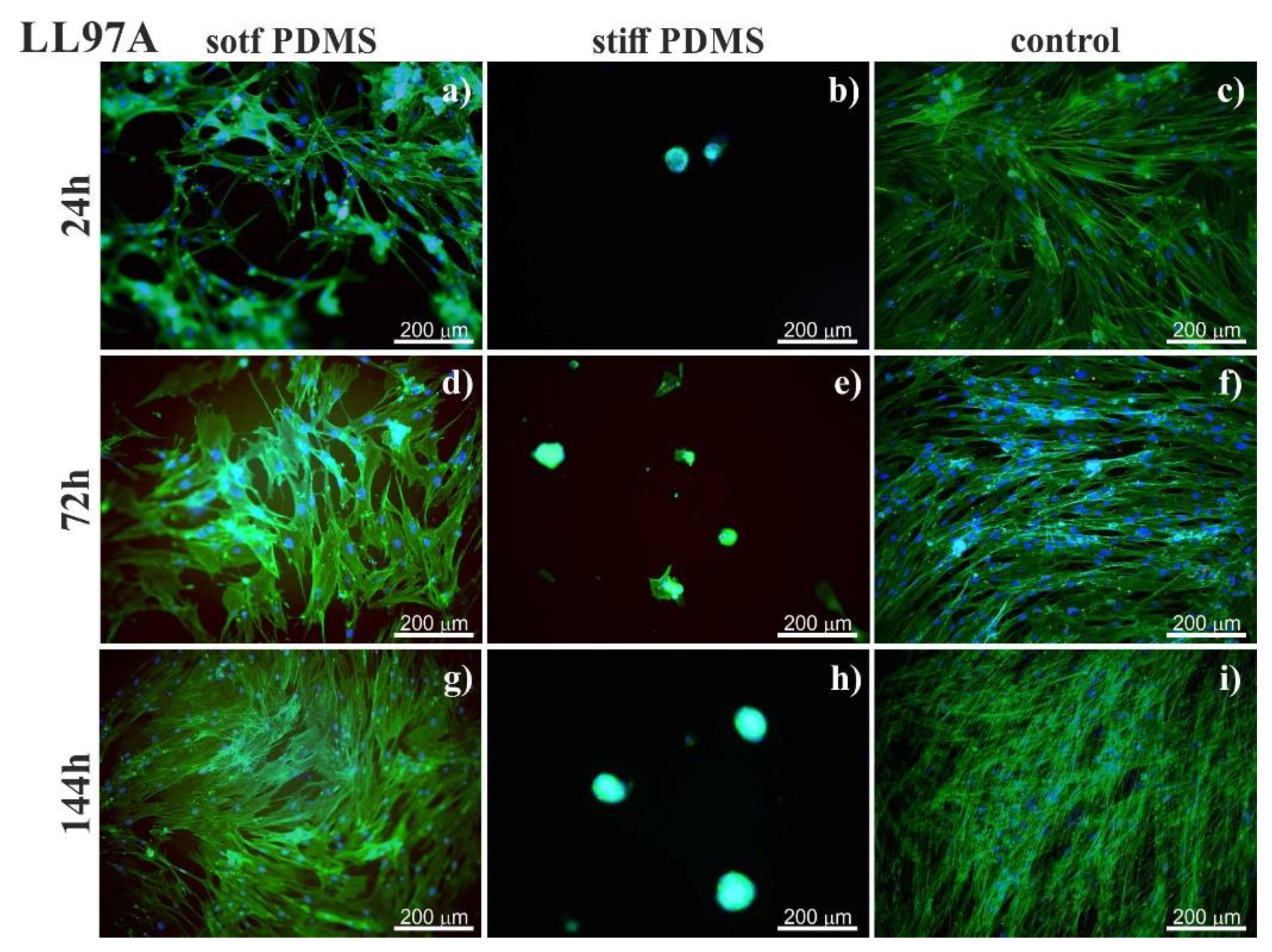 Materials 13 04495 g002