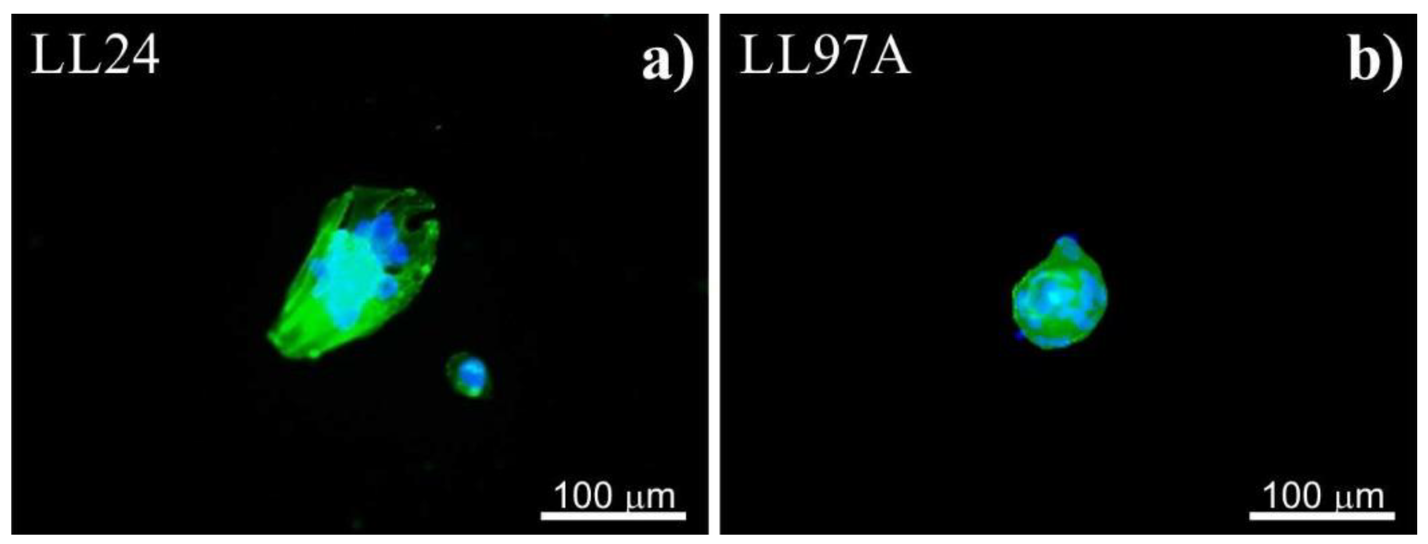 Materials 13 04495 g003