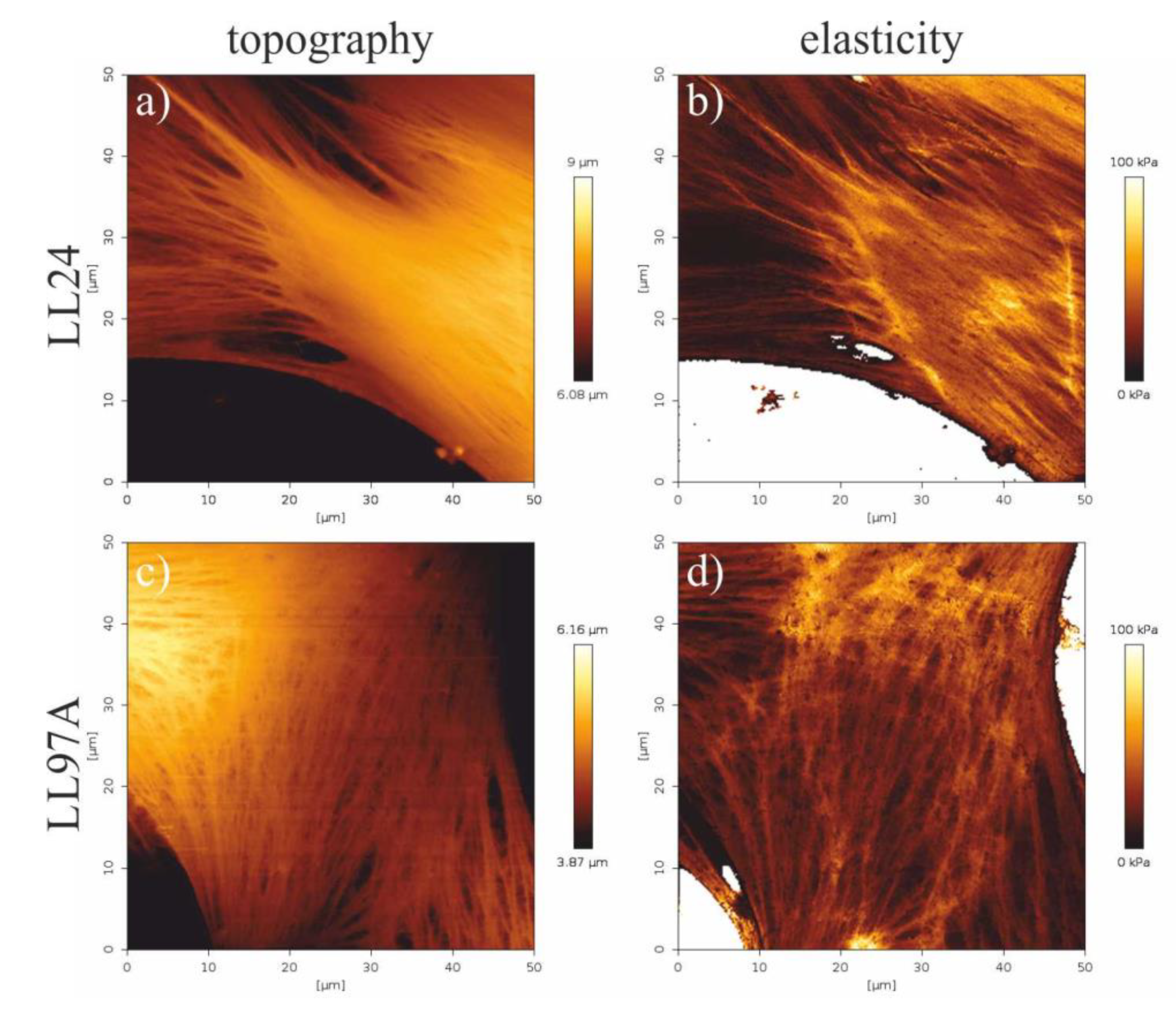 Materials 13 04495 g006