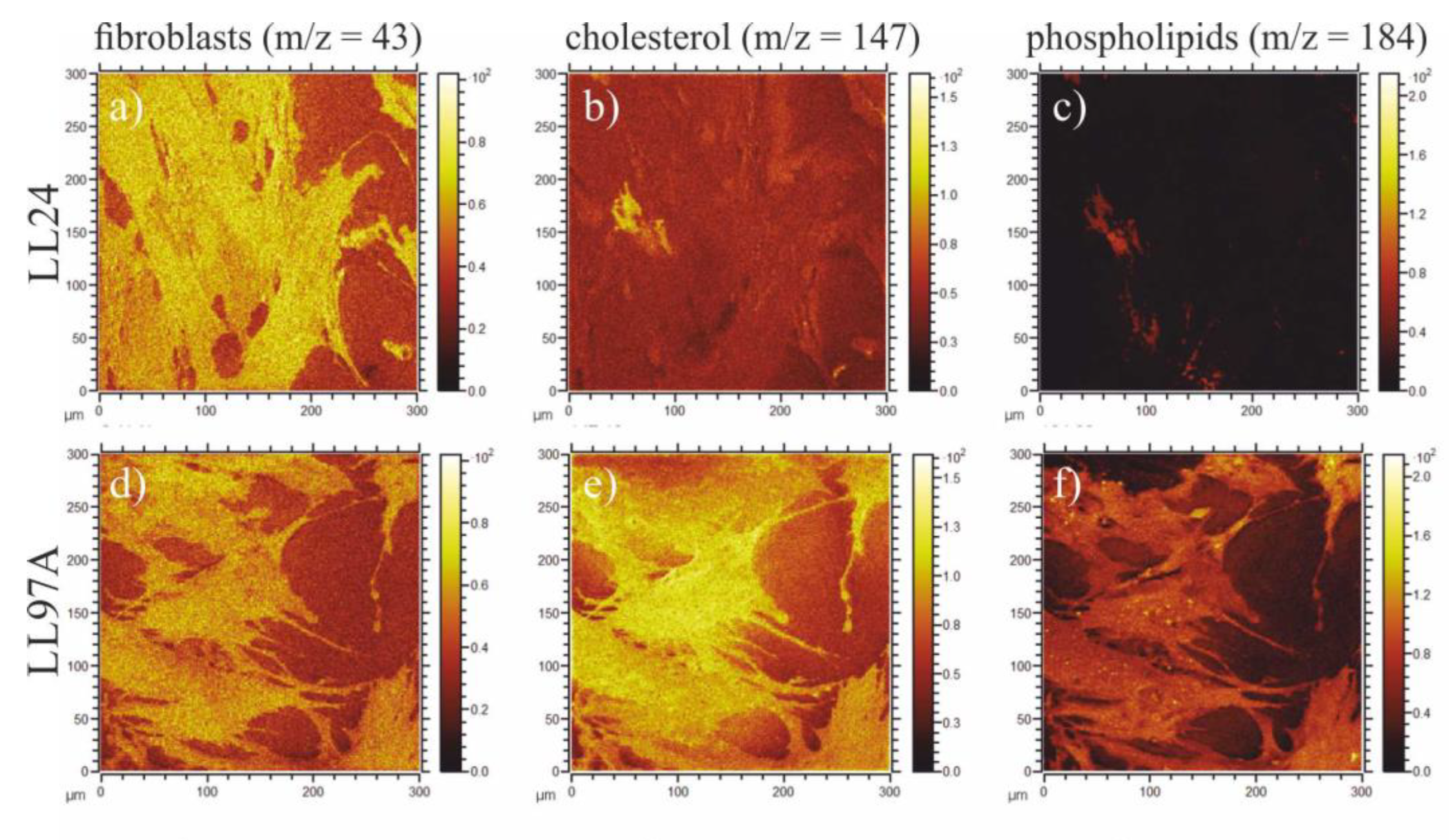 Materials 13 04495 g009