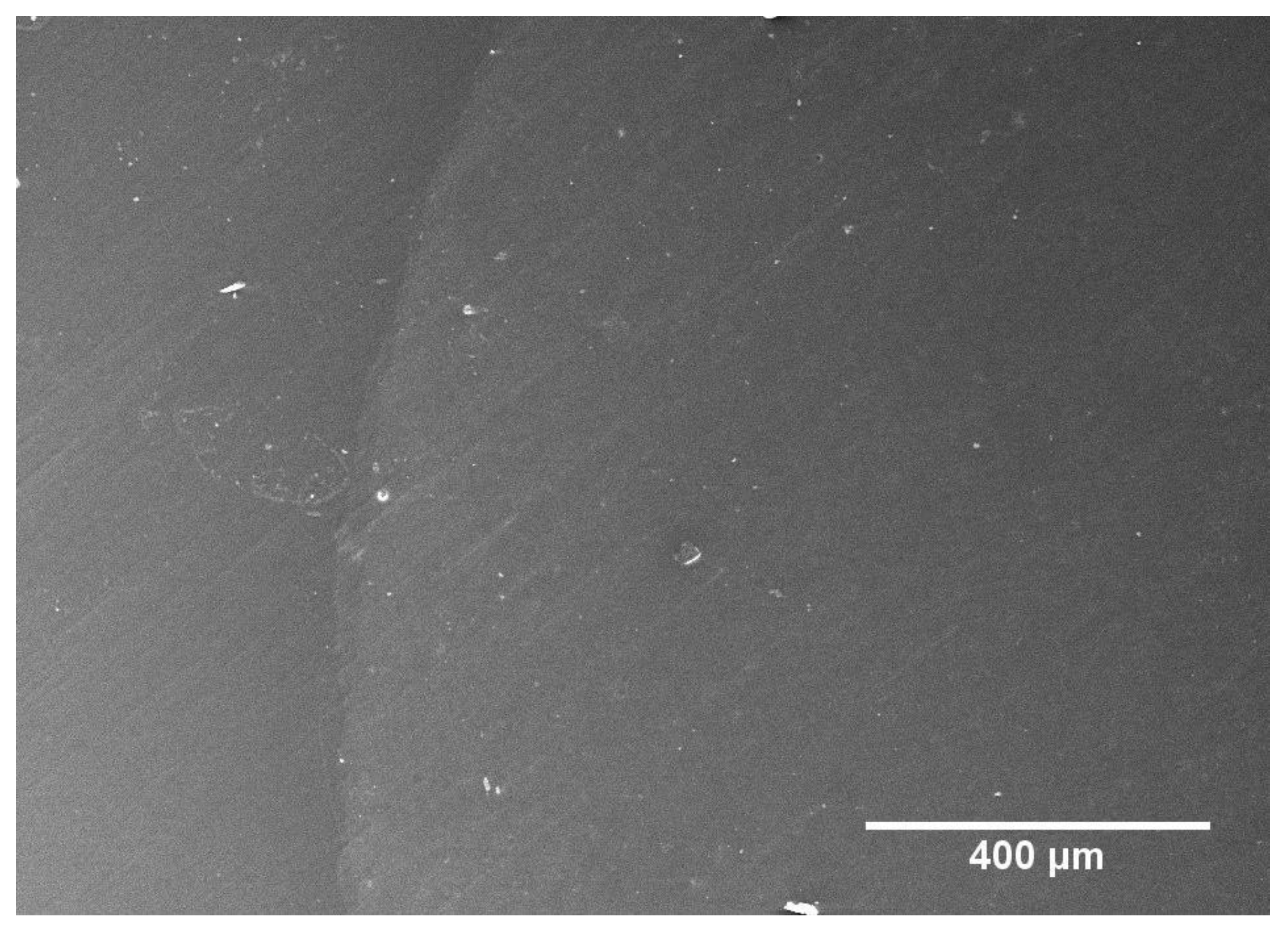 Materials 13 04500 g004