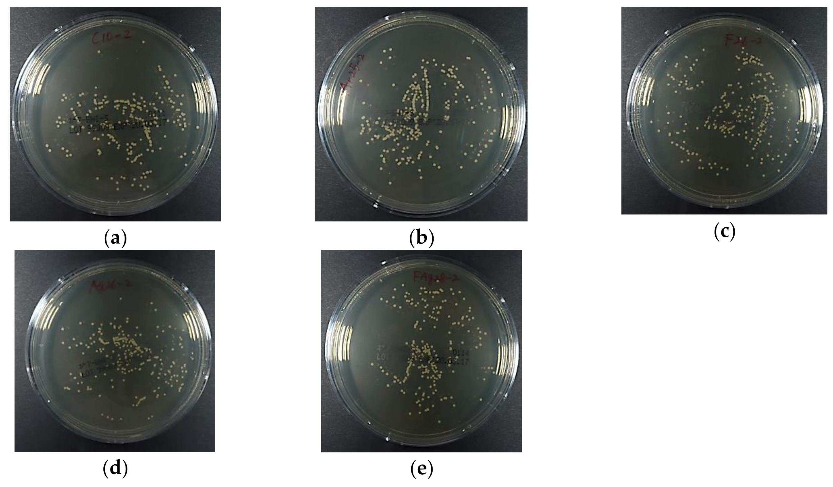 Materials 13 04525 g009