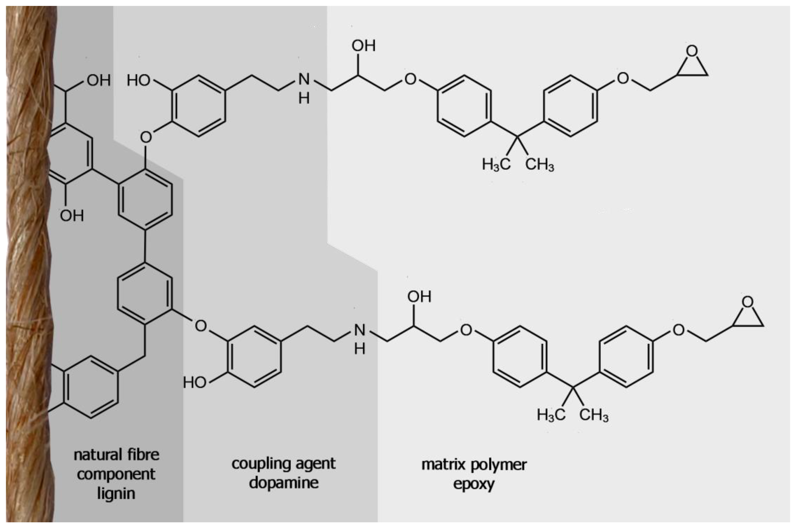 Materials 13 04529 g009