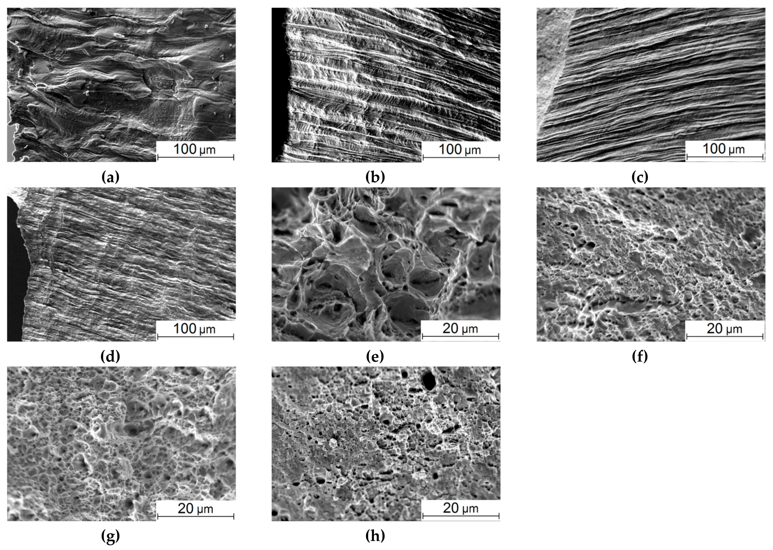 Materials 13 04531 g005