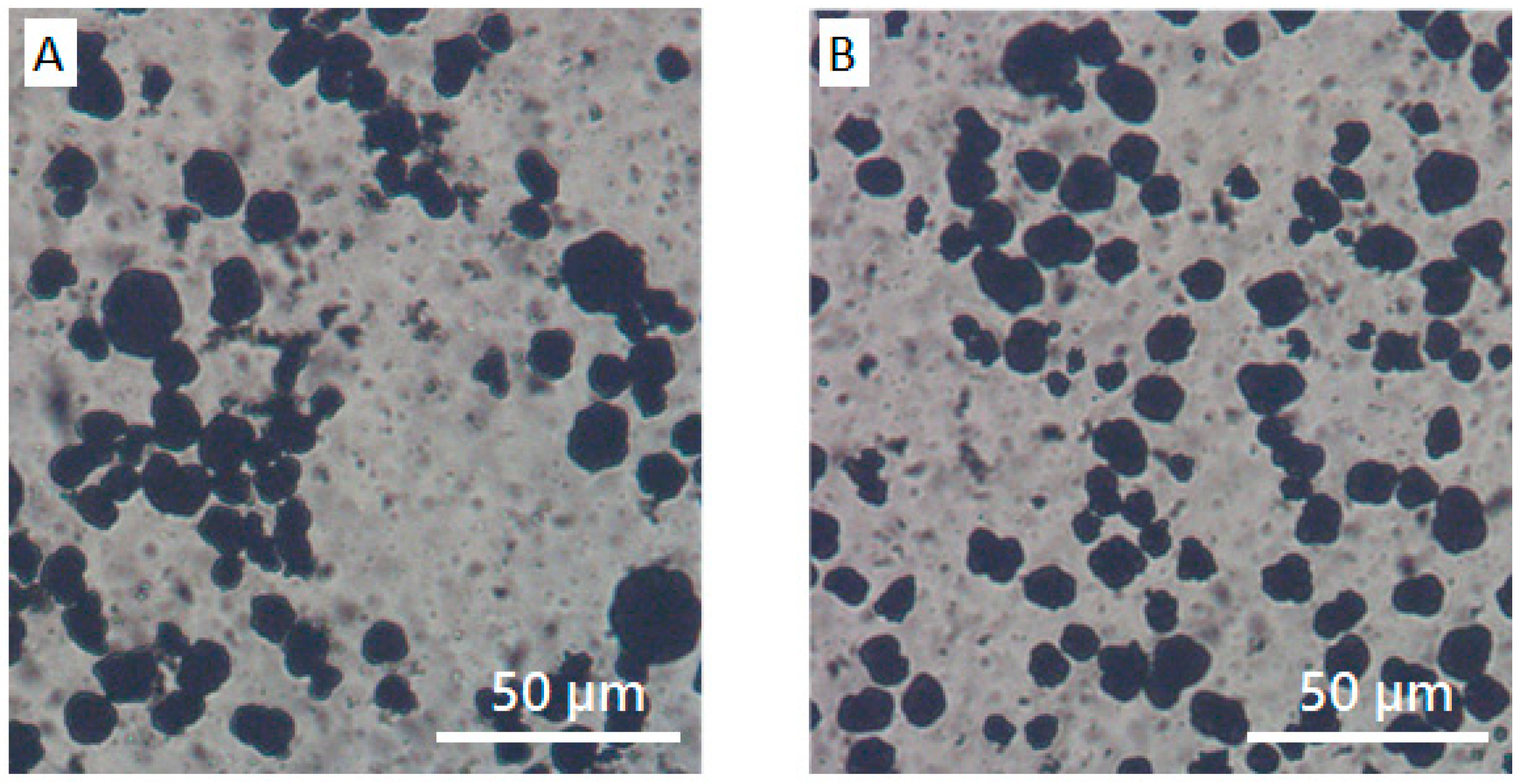 Materials 13 04544 g010